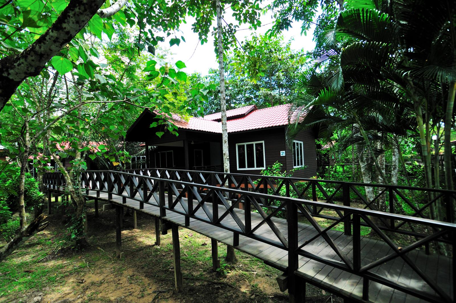 Chalet - Kinabatangan Riverside Lodge