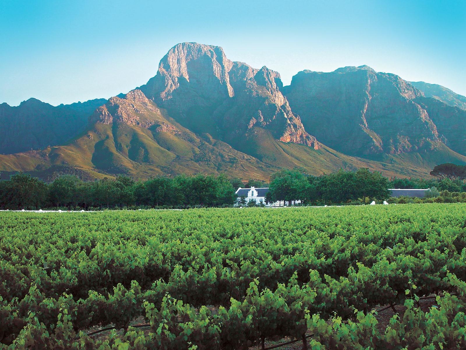 Winelands - Scott Dunn’s Flagship South Africa and Mozambique Experience