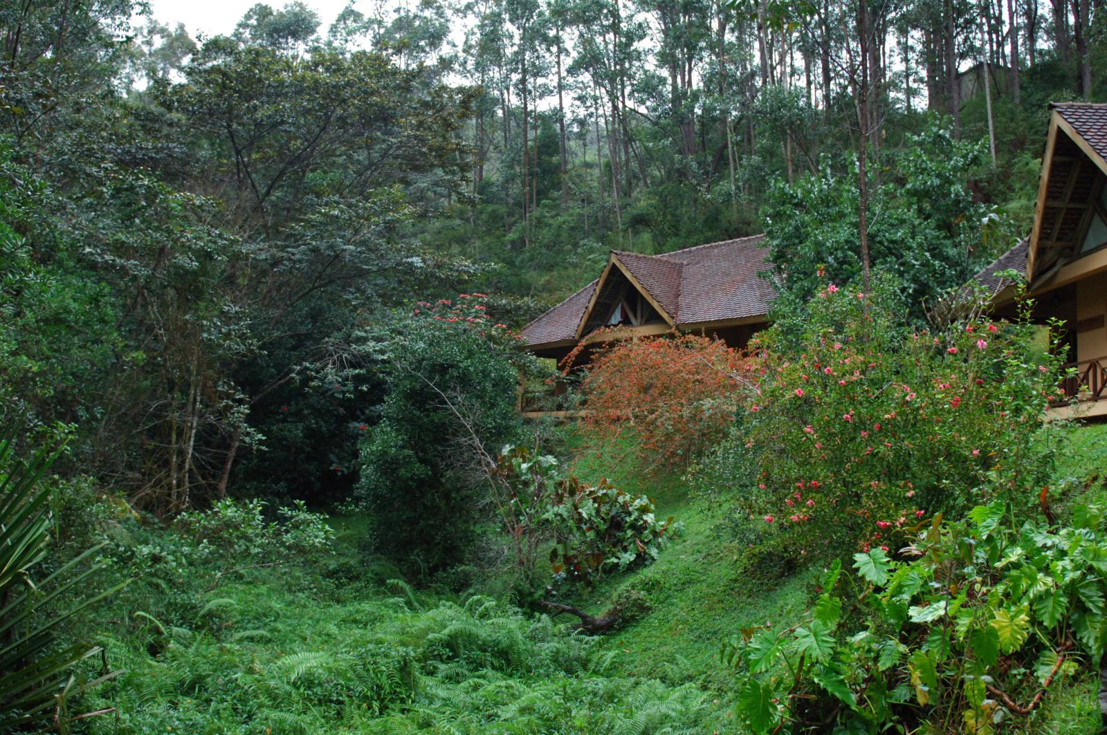 Exterior - Vakona Forest Lodge