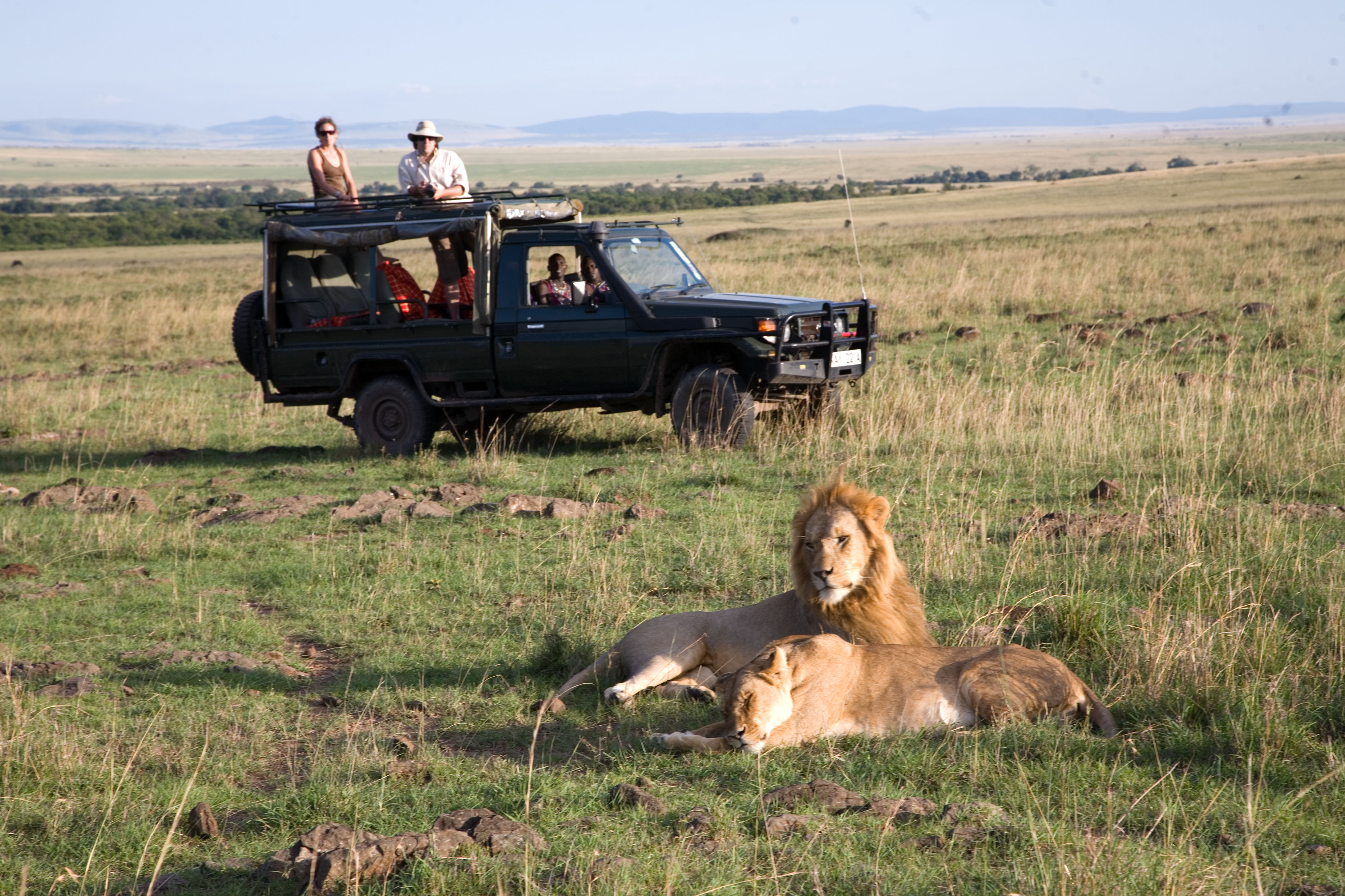 Lions - Offbeat Mara