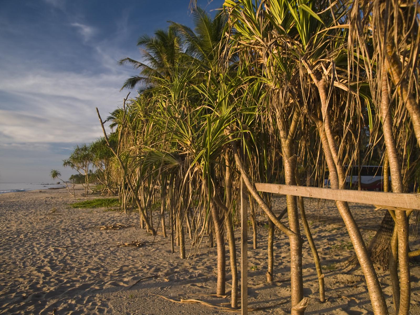 Beach - Sandoway Resort