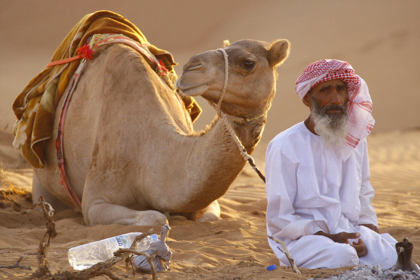 Camel - A Honeymoon to Oman and the Maldives