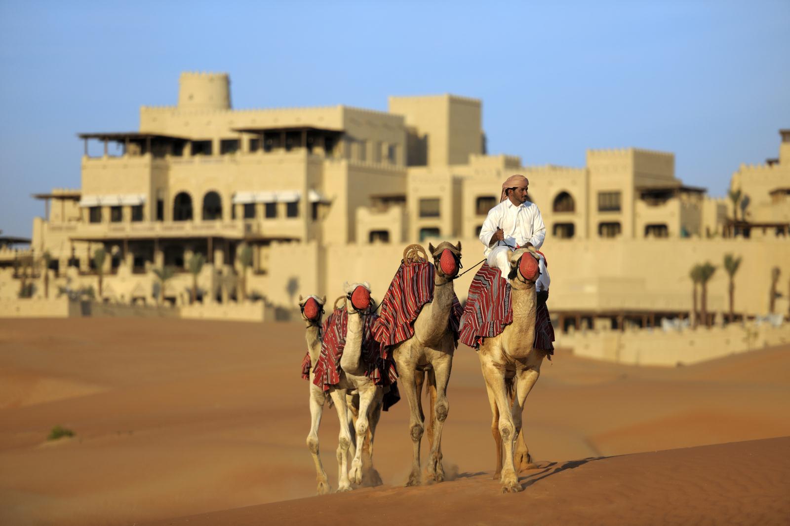 Camel  - Qasr Al Sarab