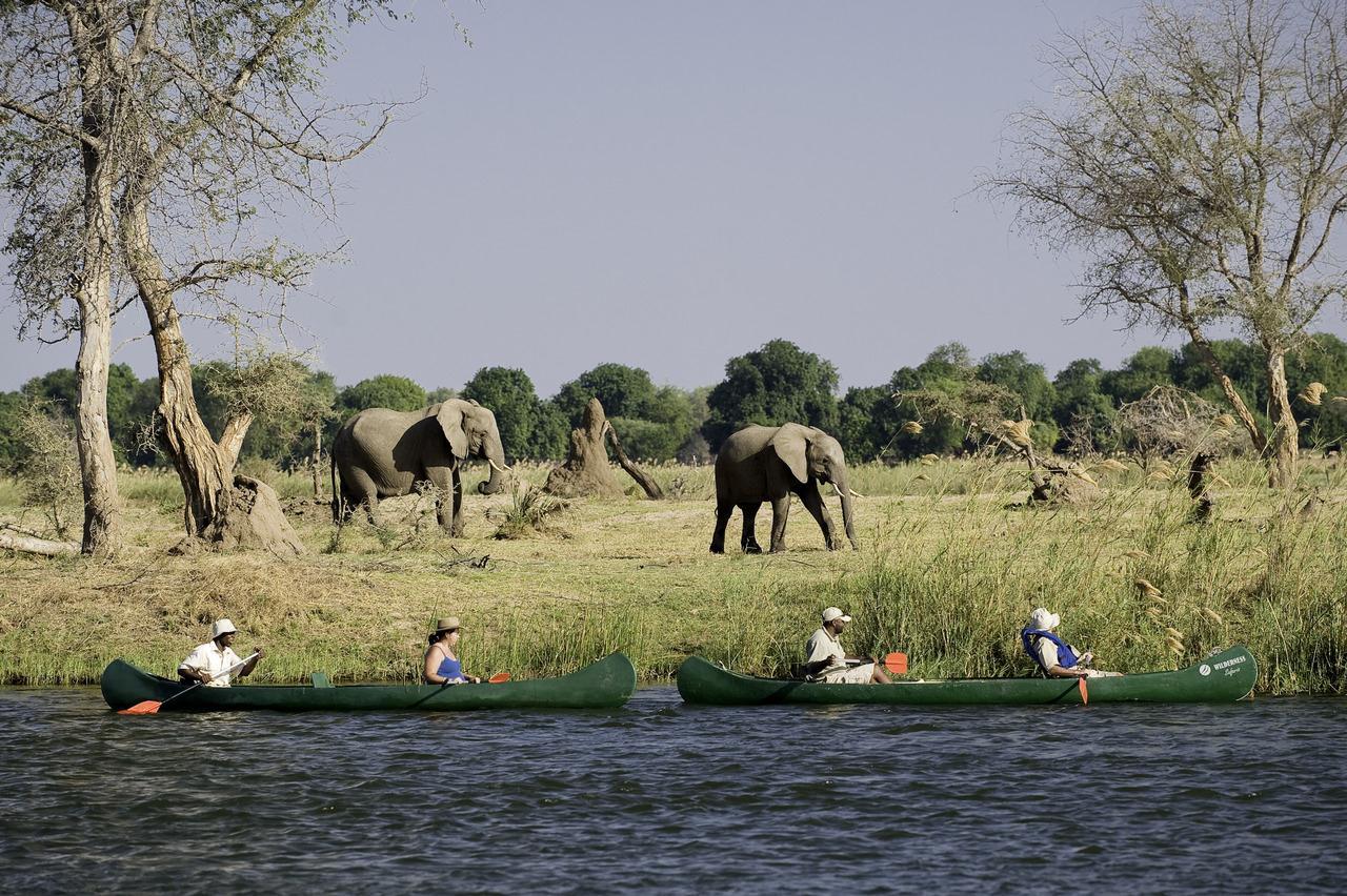 Canoeing on the Zambezi River - Rukomechi Camp