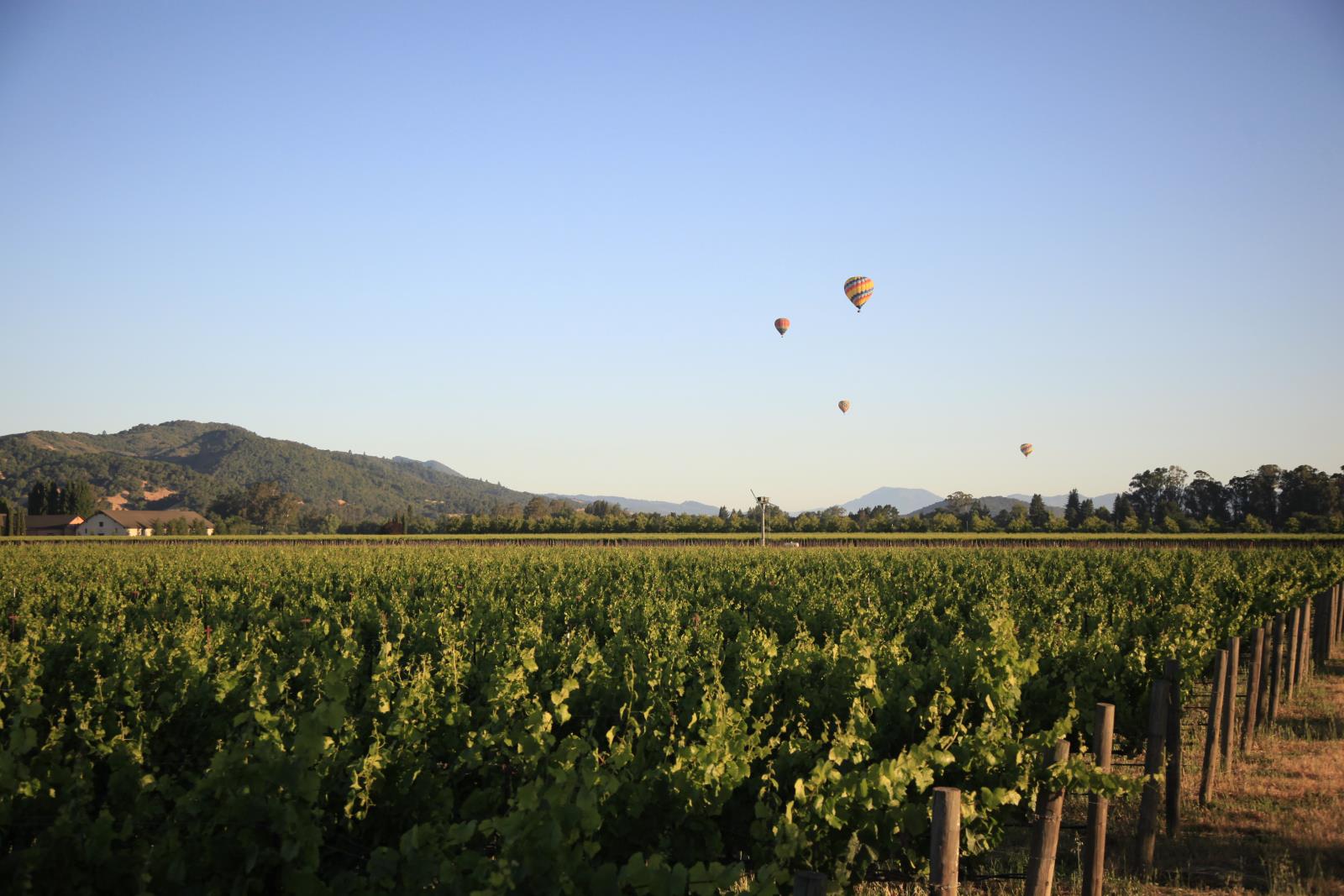 Balloons over Napa Valley - Romantic California