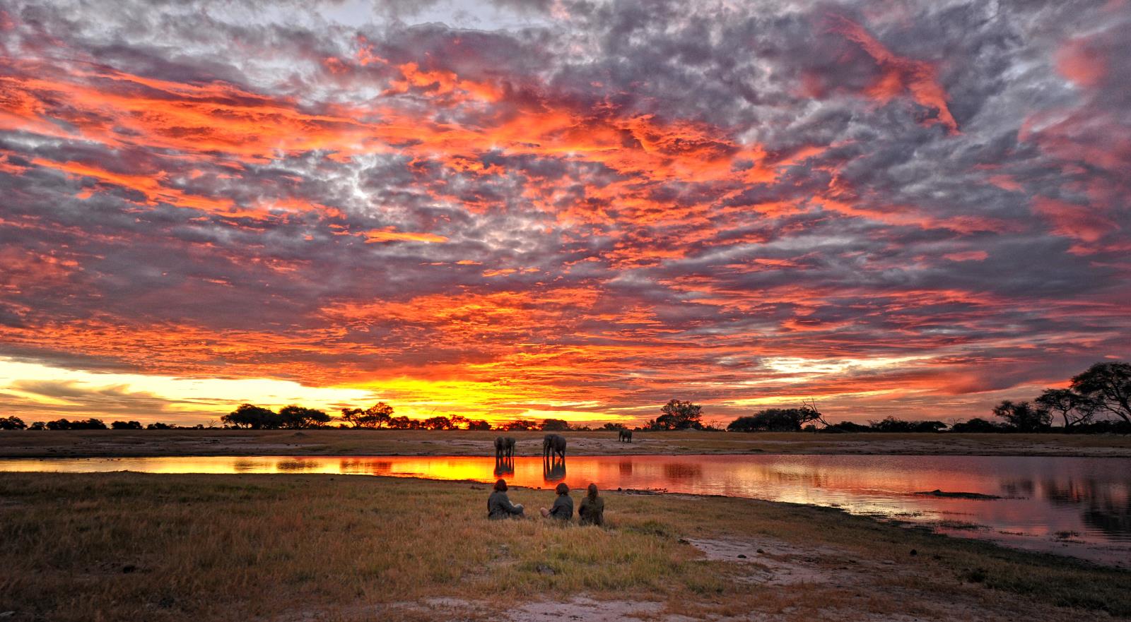 Sunset in Hwange - Zimbabwe and Mozambique
