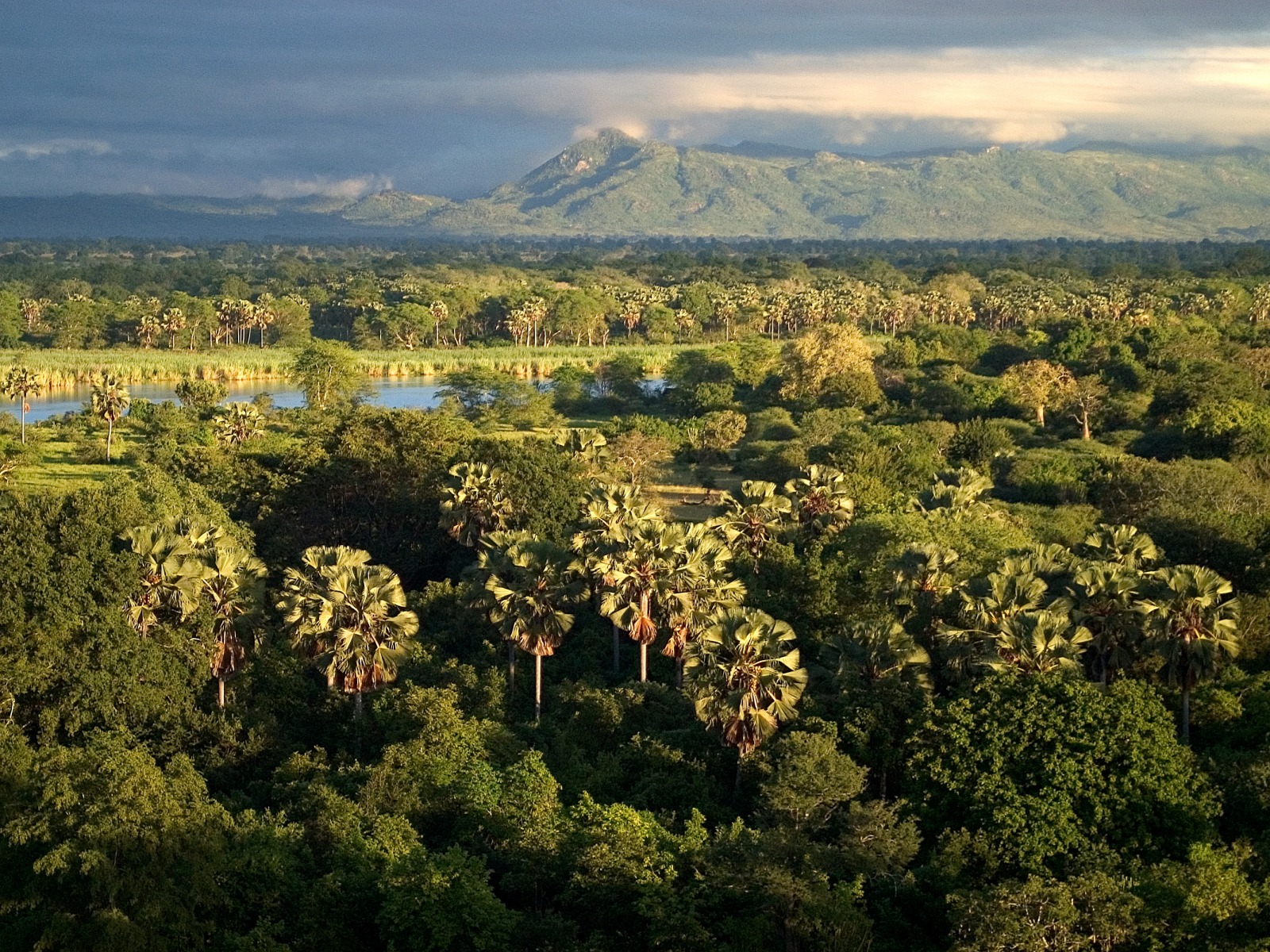 Liwonde - Explore the highlights of Malawi