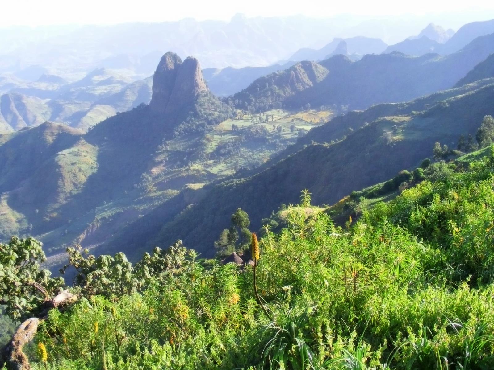 Misty mountains - Ethiopia