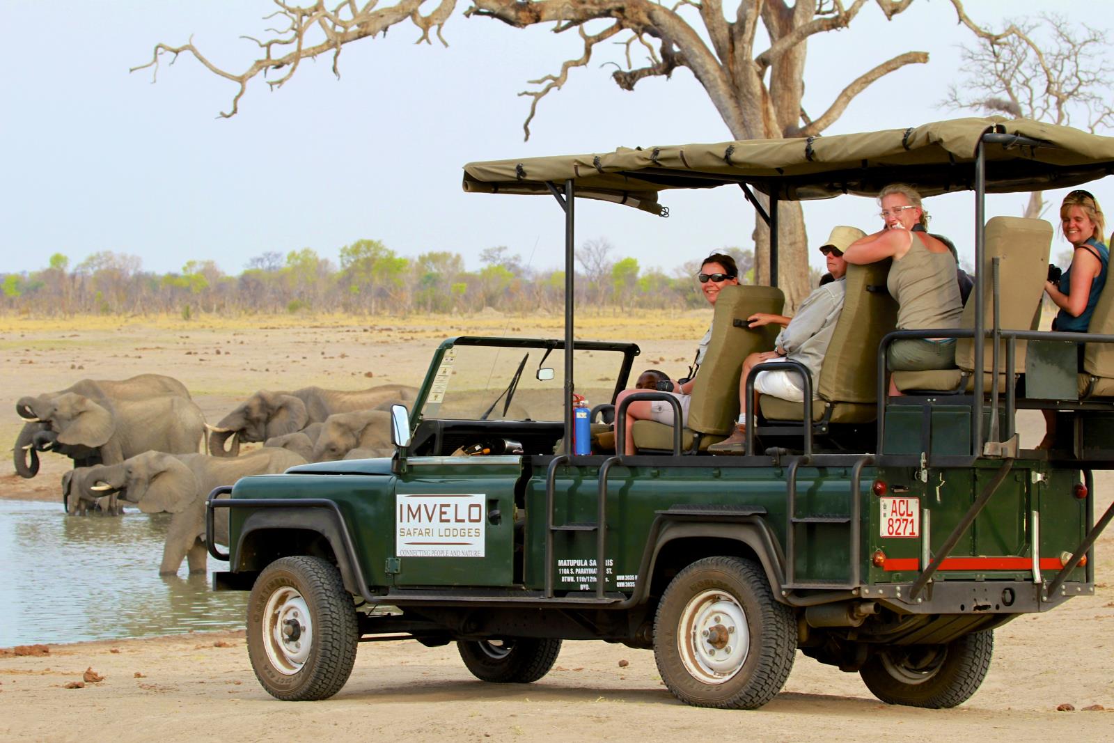 Game drive  - Camelthorn