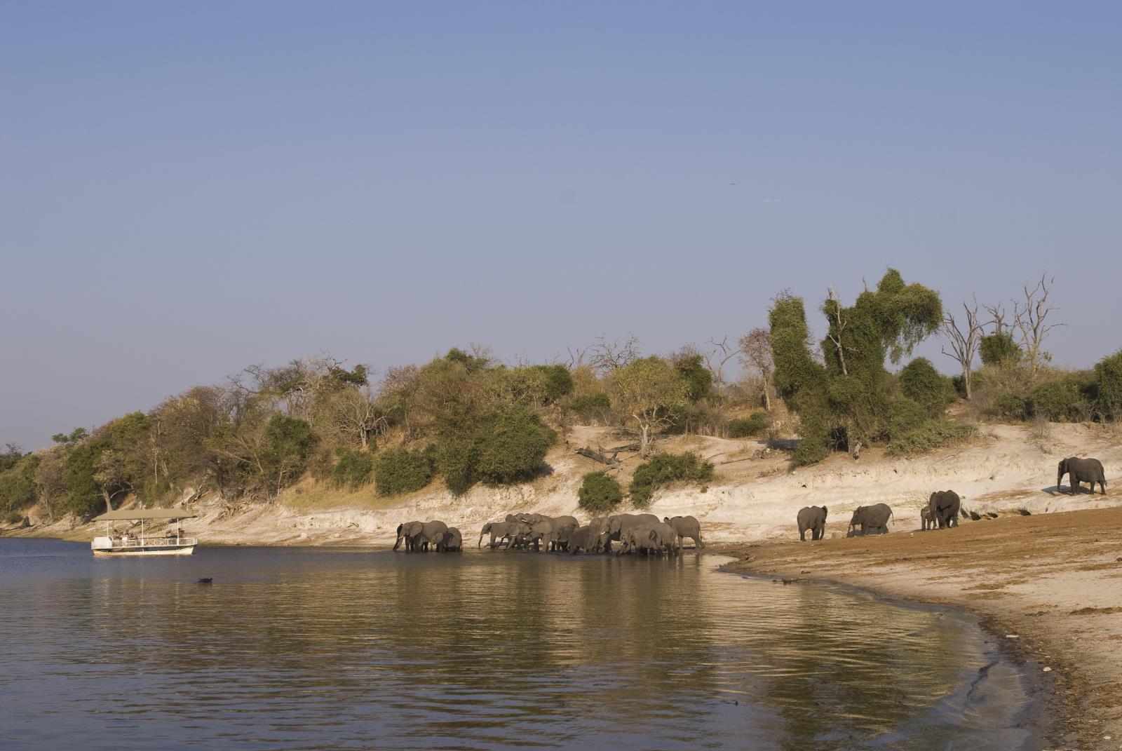 Chobe River - Chobe Under Canvas