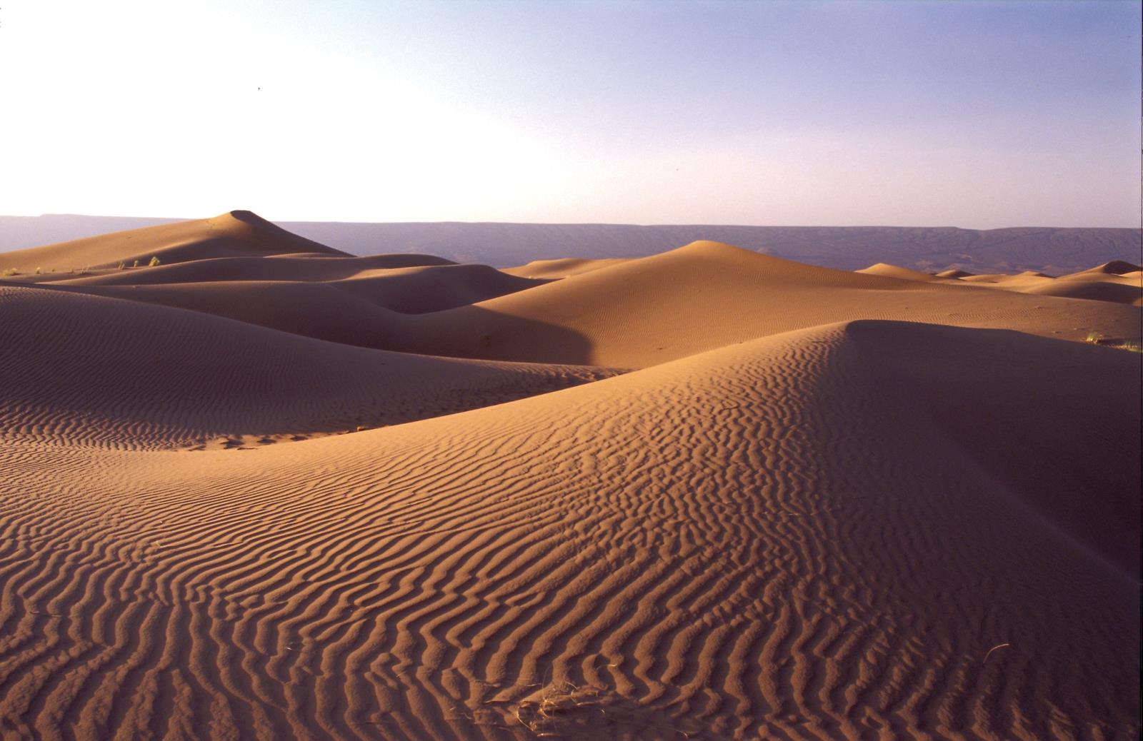 Sand Dunes - Dar Ahlam Nomad Camp
