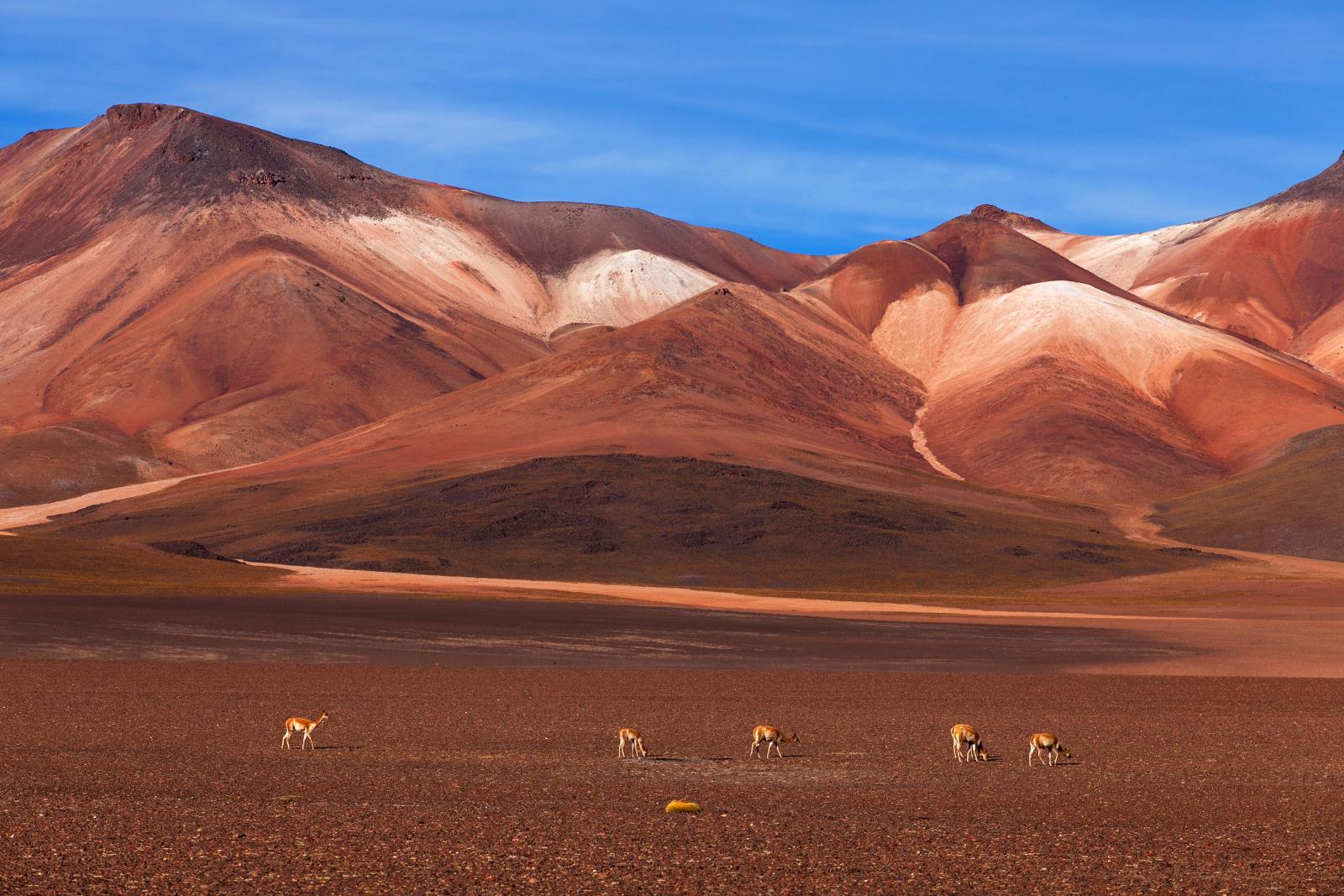 Desierto de Salvador Dali - High Adventure in the Bolivian Desert