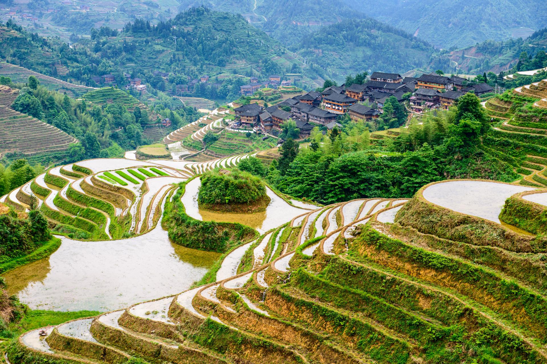 Rice Terraces in Longsheng - Rural China