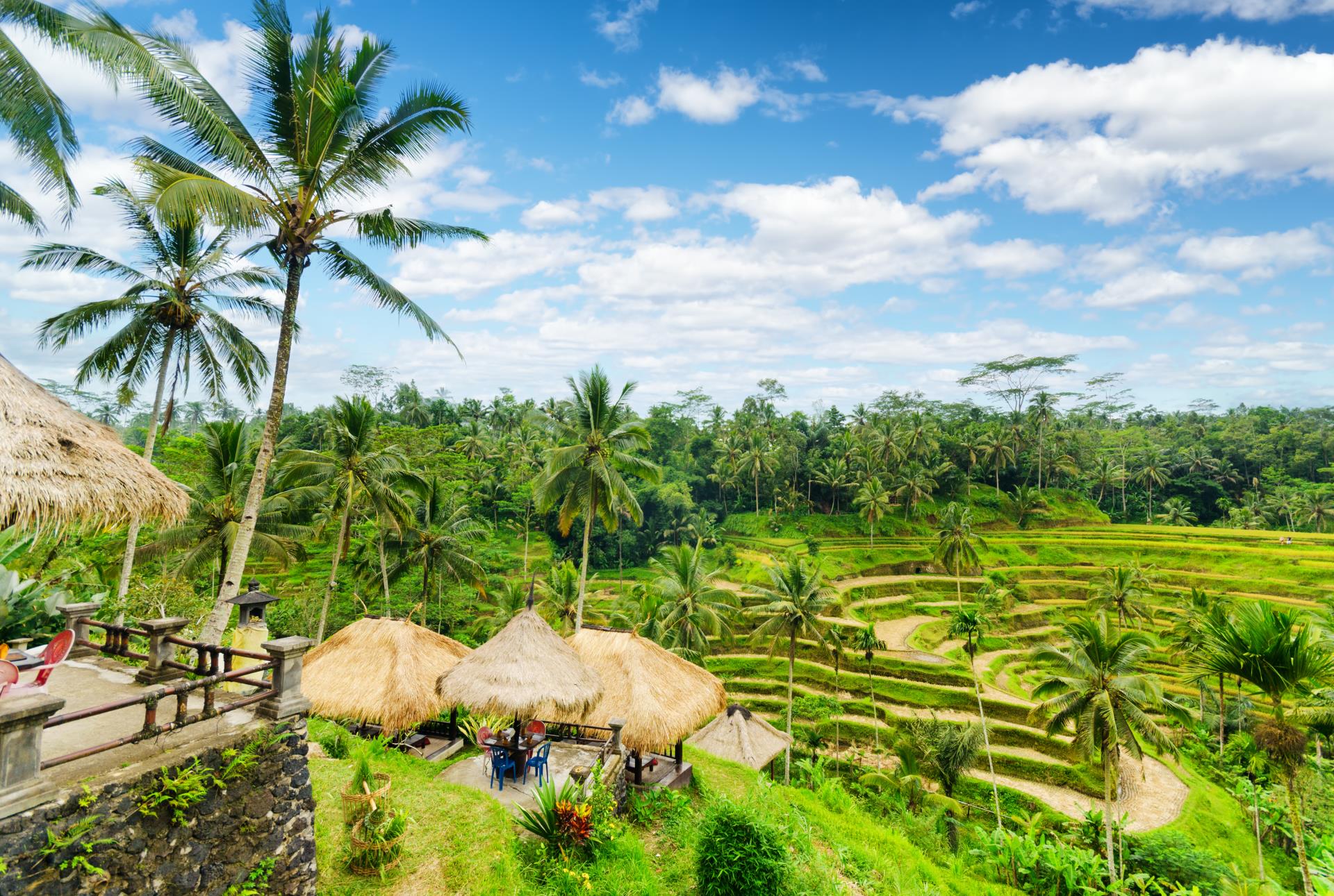 Bali - Bali and Lombok
