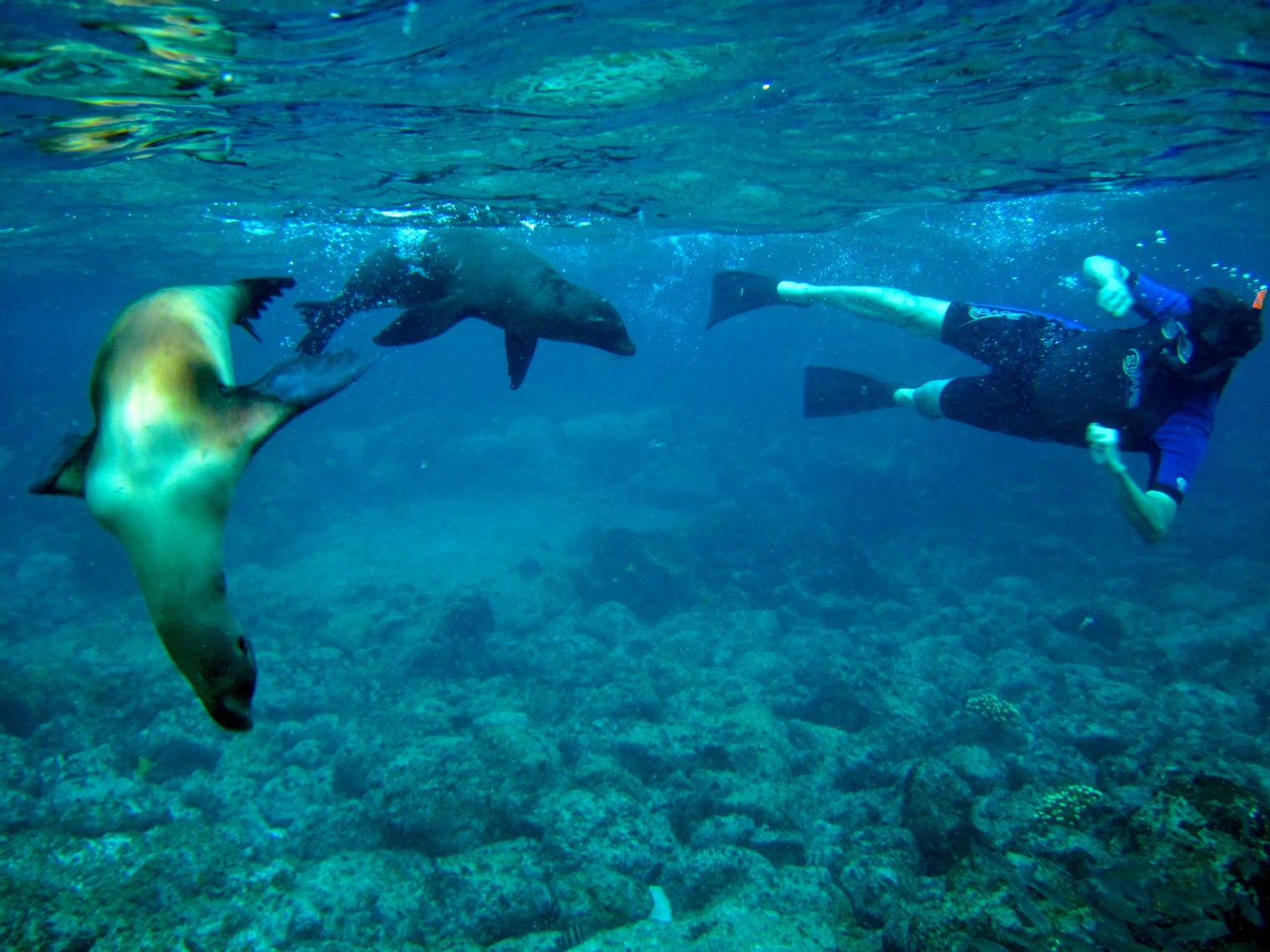 Galapagos snorkelling - Family Ecuador & Galapagos Islands Adventure