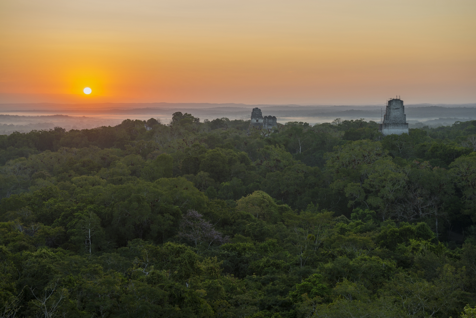 Tikal - Guatemala, Belize & Mexico for the Family