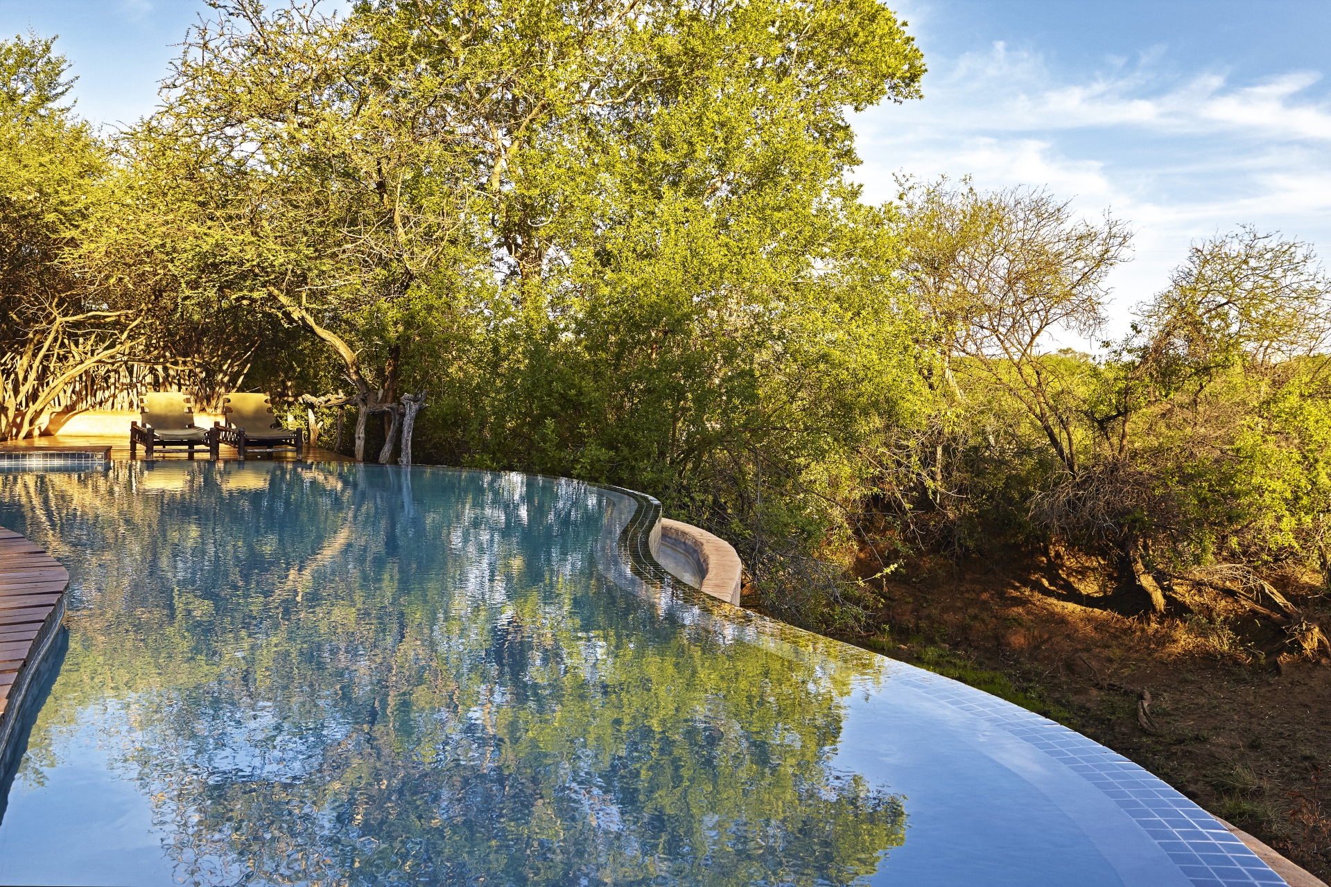 Pool - Makanyane Safari Lodge