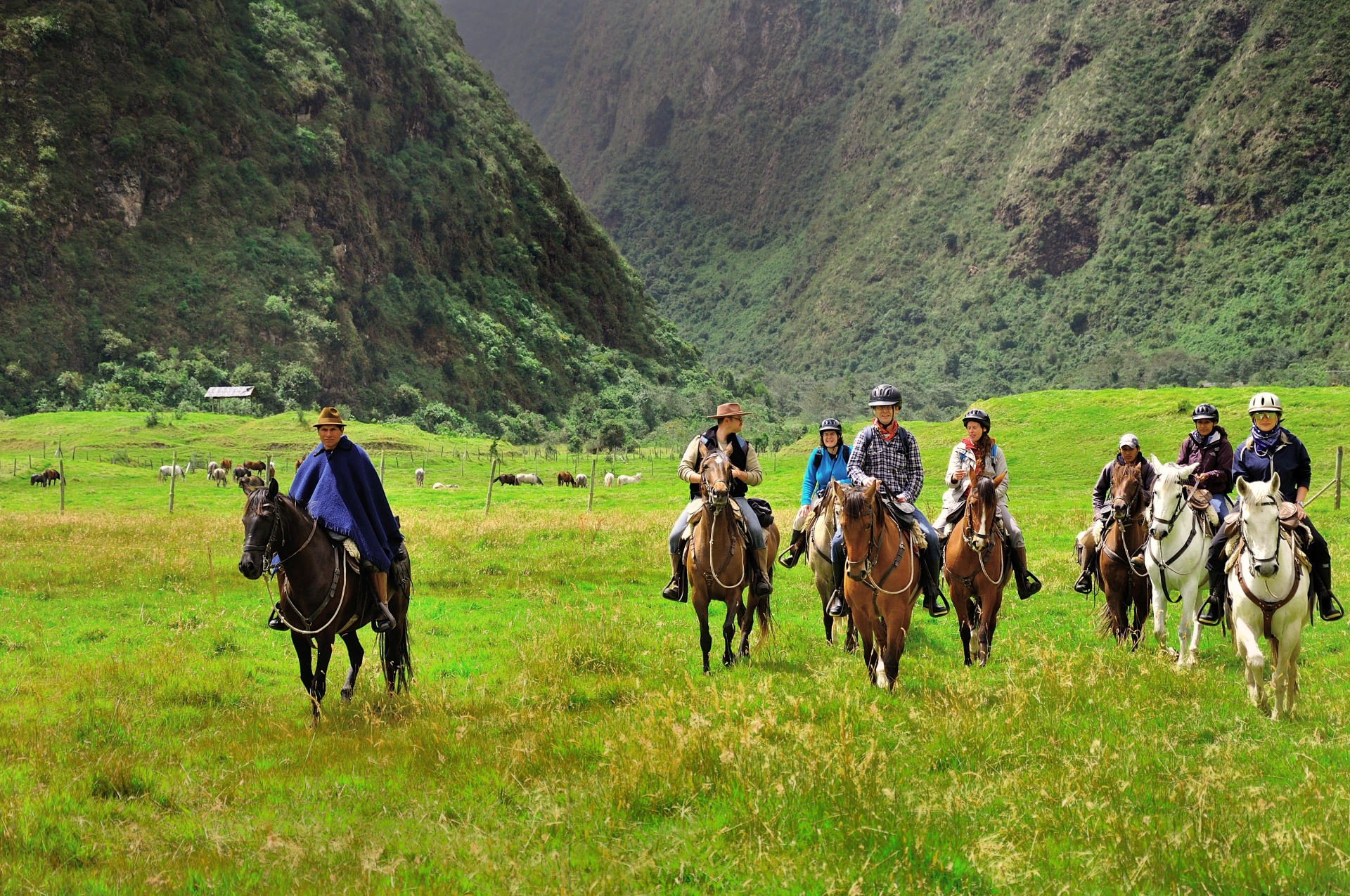 Horse riding - Hacienda Zuleta
