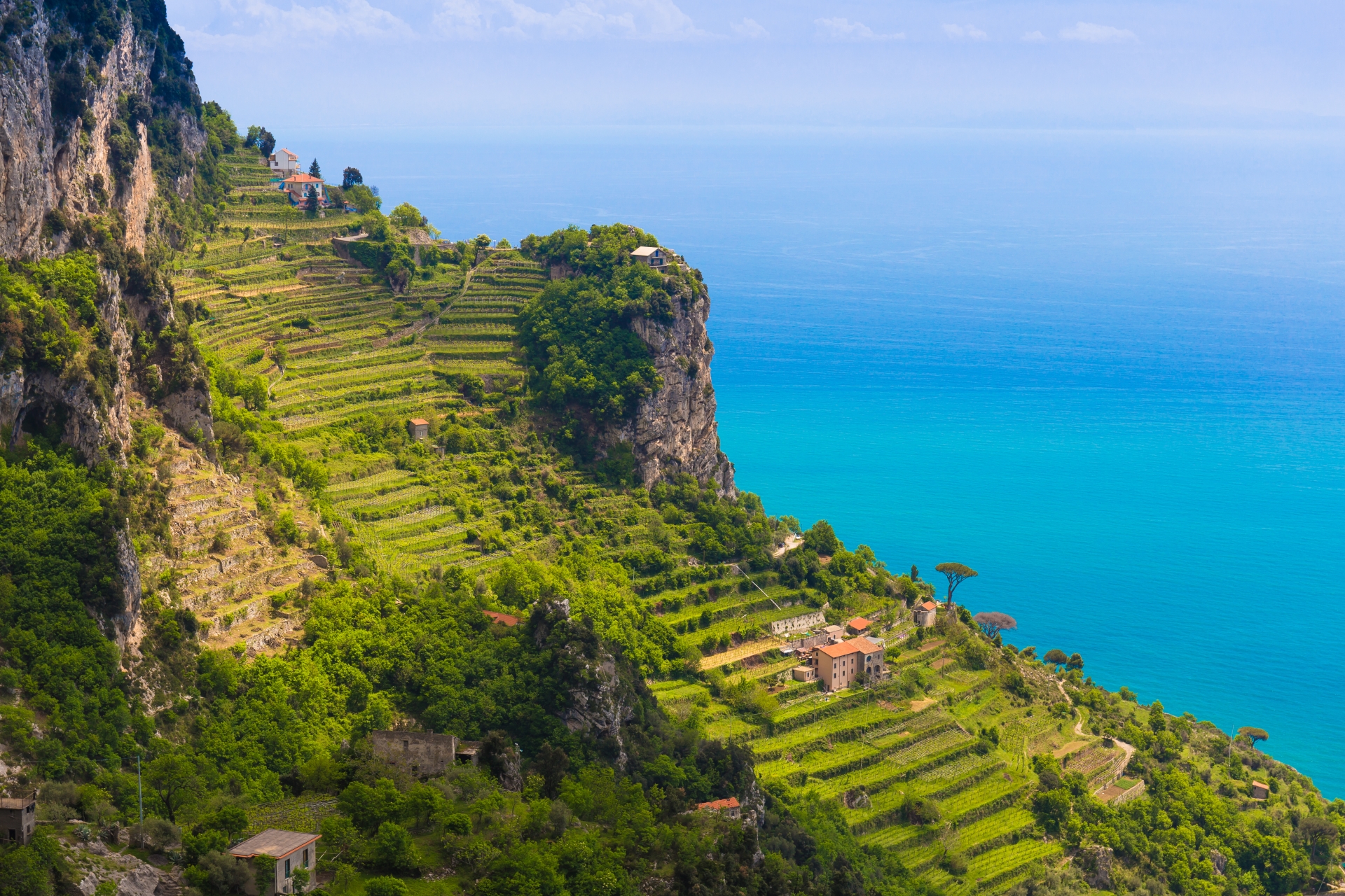 Lemon groves - Honeymoon on the Amalfi Coast