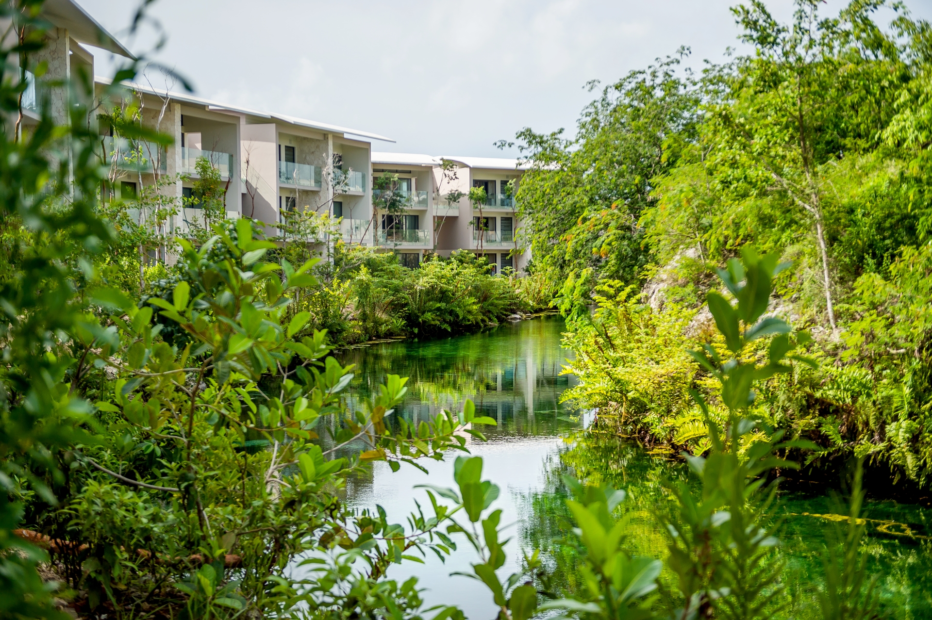 Lagoon View Rooms and Suites - Andaz Mayakoba Resort Riviera Maya