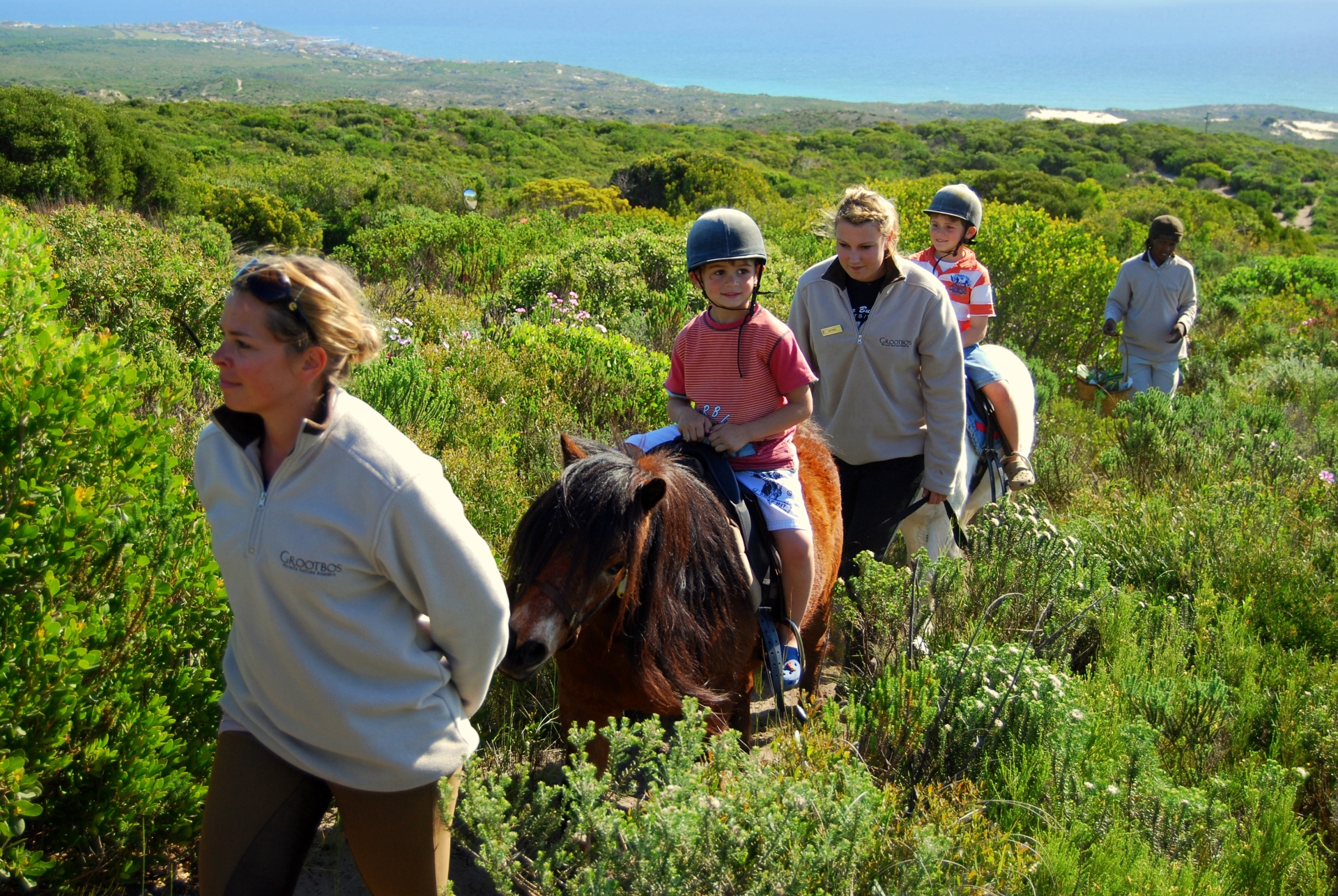 Horse riding - Grootbos Private Nature Reserve