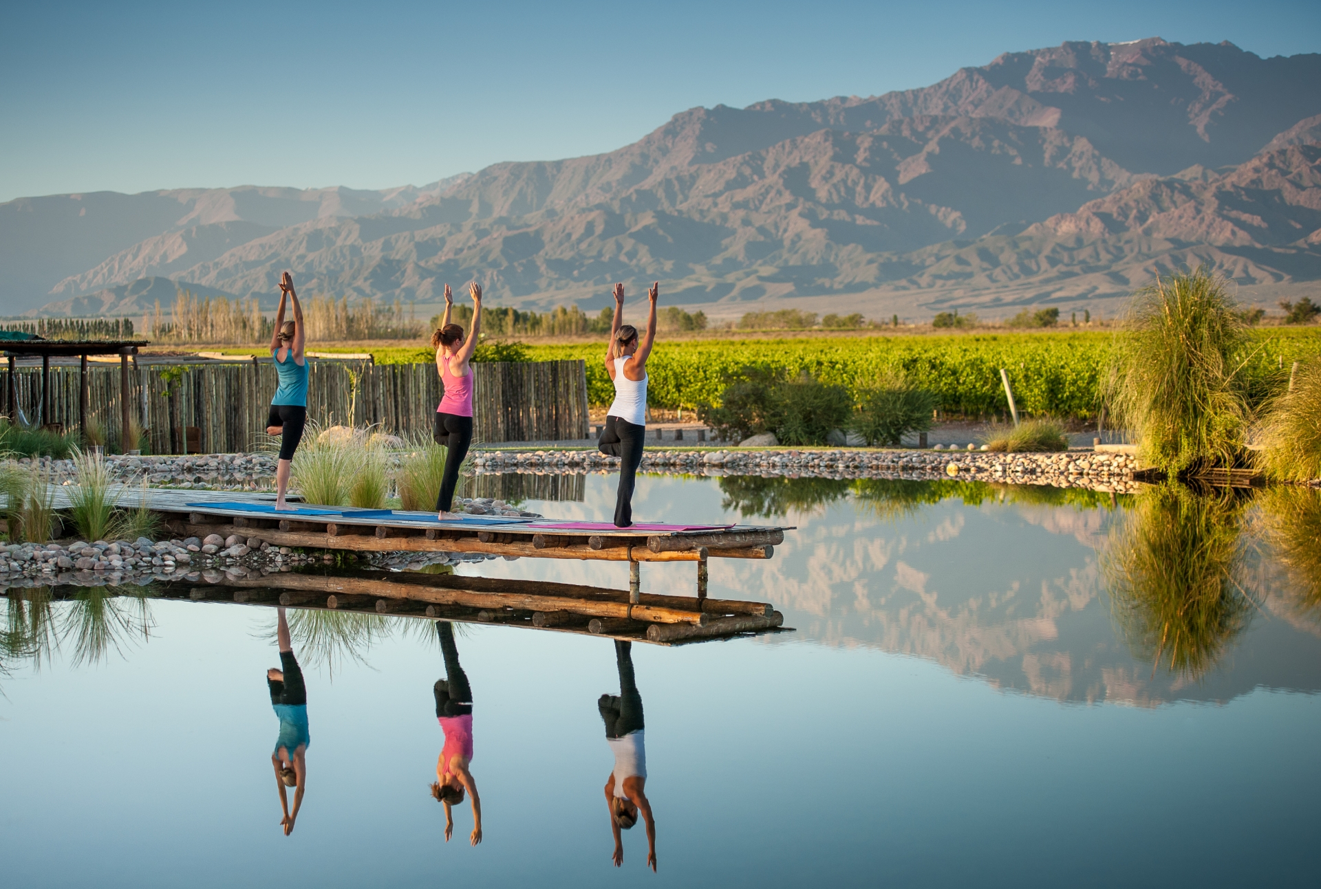 Yoga - The Vines Resort & Spa