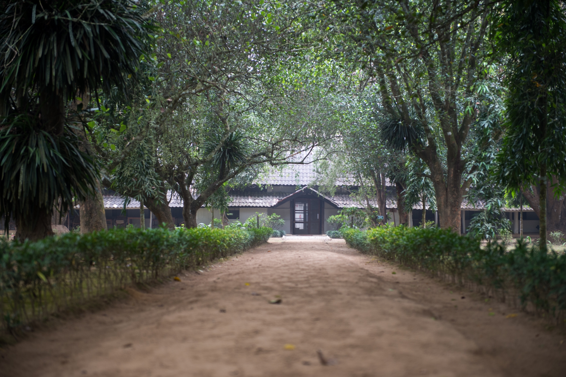 Entrance - Tiger Tops Tharu Lodge