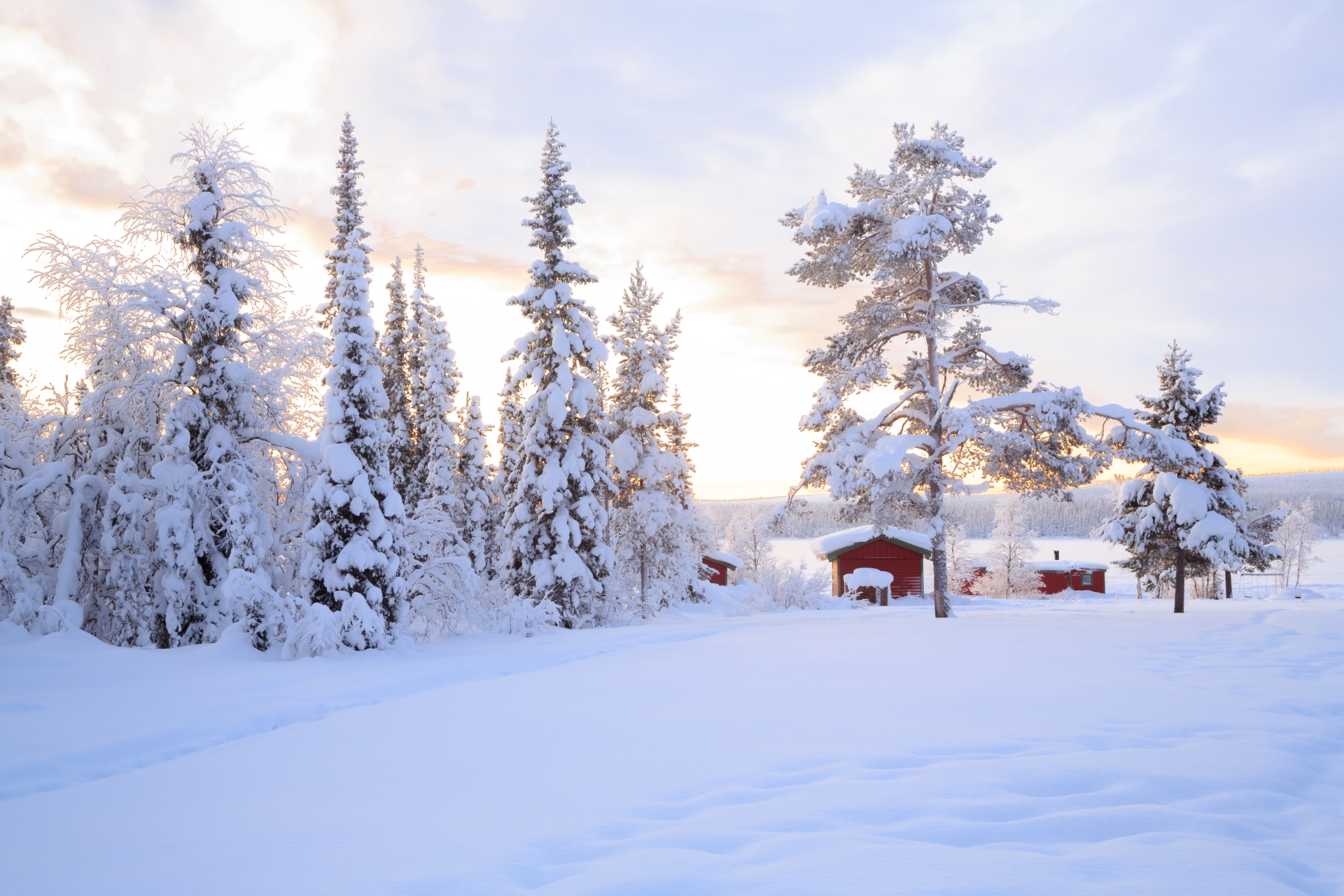 Lappish scenery - Swedish Lapland for families
