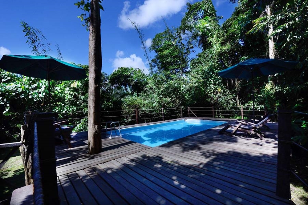 Plunge Pool - Sukau Rainforest Lodge