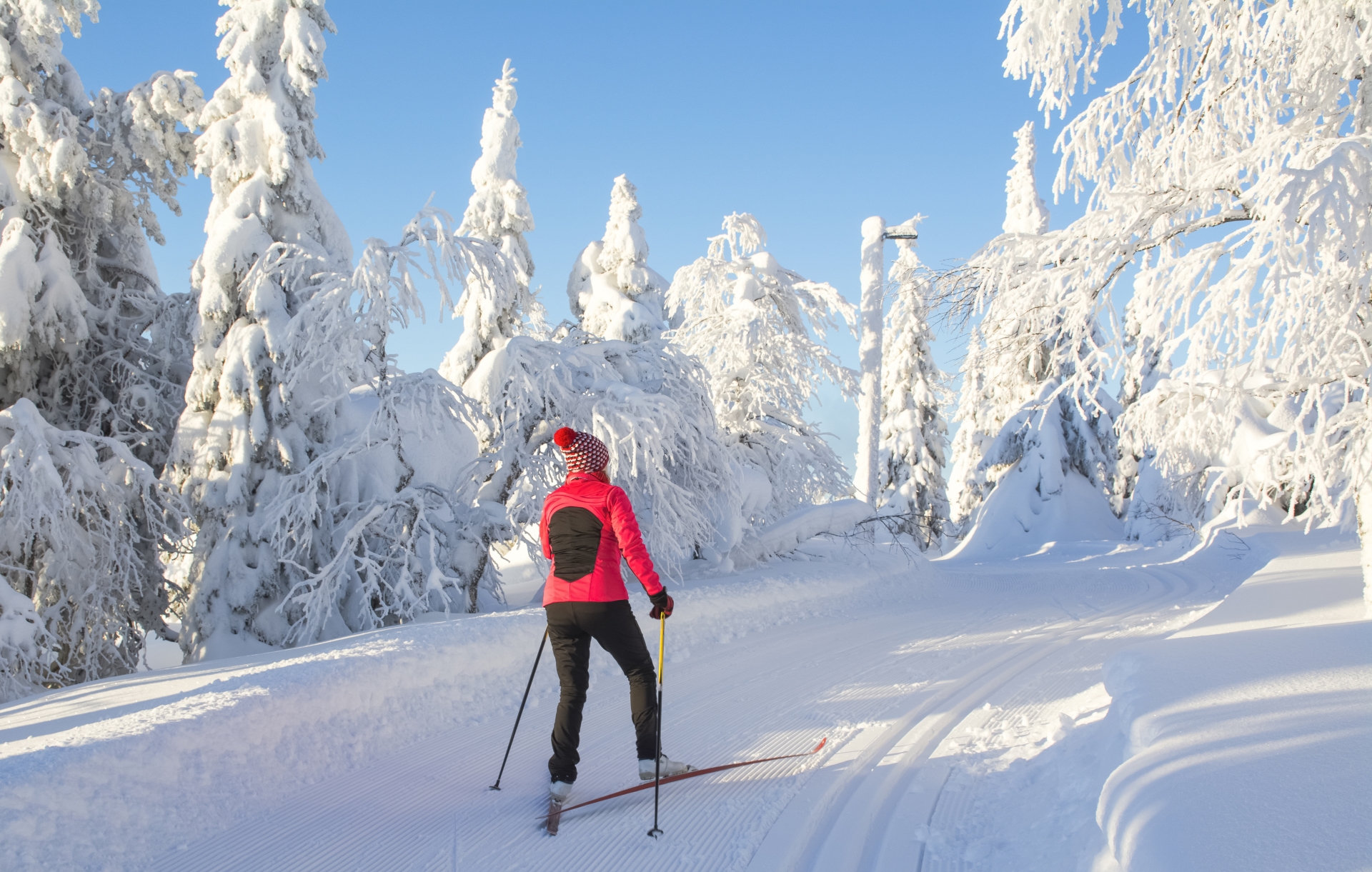 Cross-country skiing - Simply Finnish Lapland