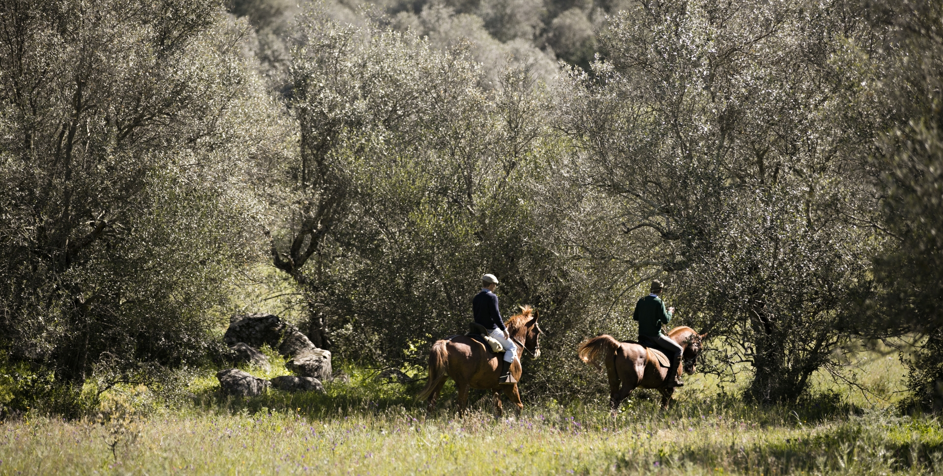 Horse riding - Discover Alentejo and Andalucia