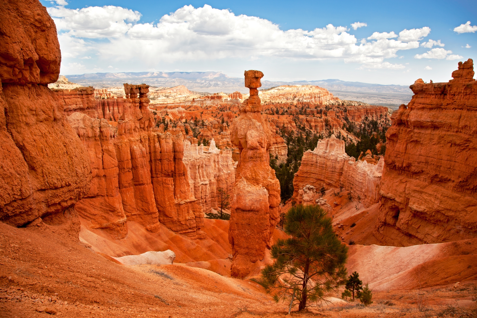 Bryce Canyon - Southwest & Southern California for Families