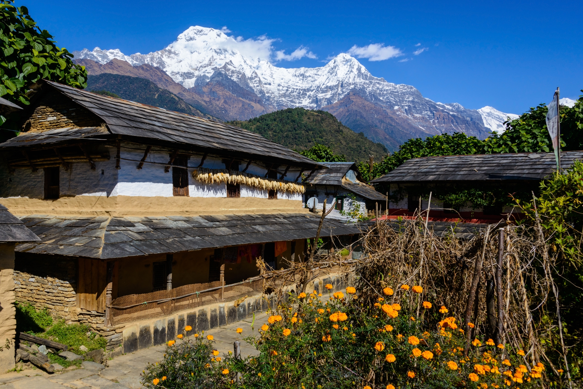 Himalaya Lodge  - Ghandruk, Nepal