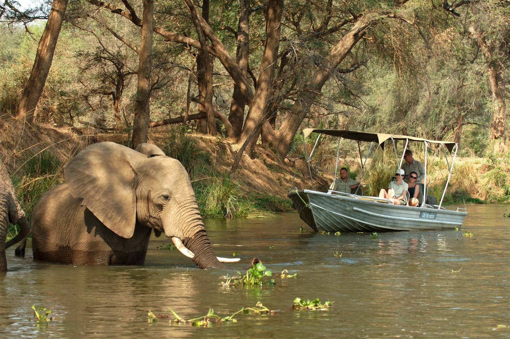 Boating on the Zambezi - Best of Zambia