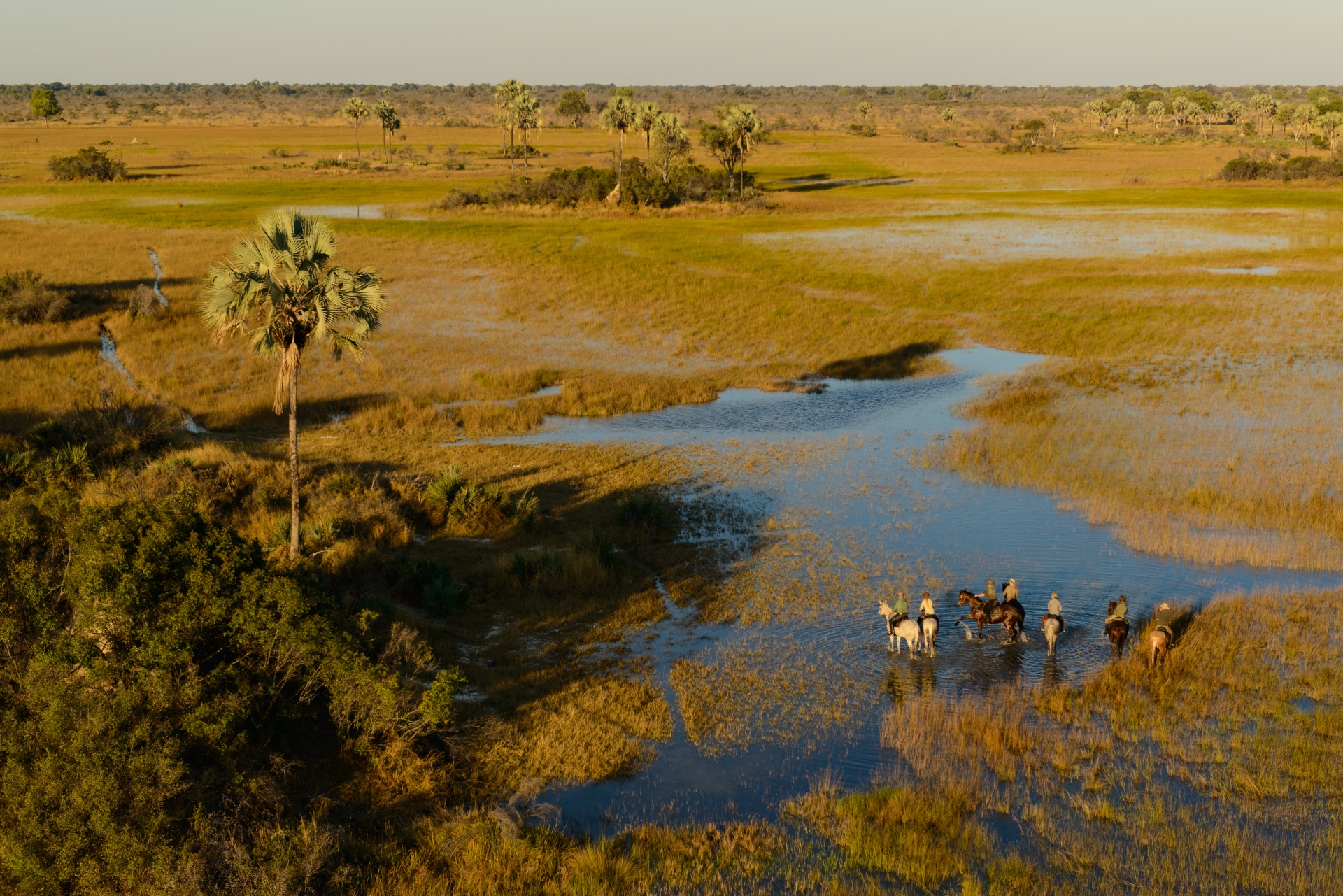 Okavango Delta - Wild Botswana Riding Safari