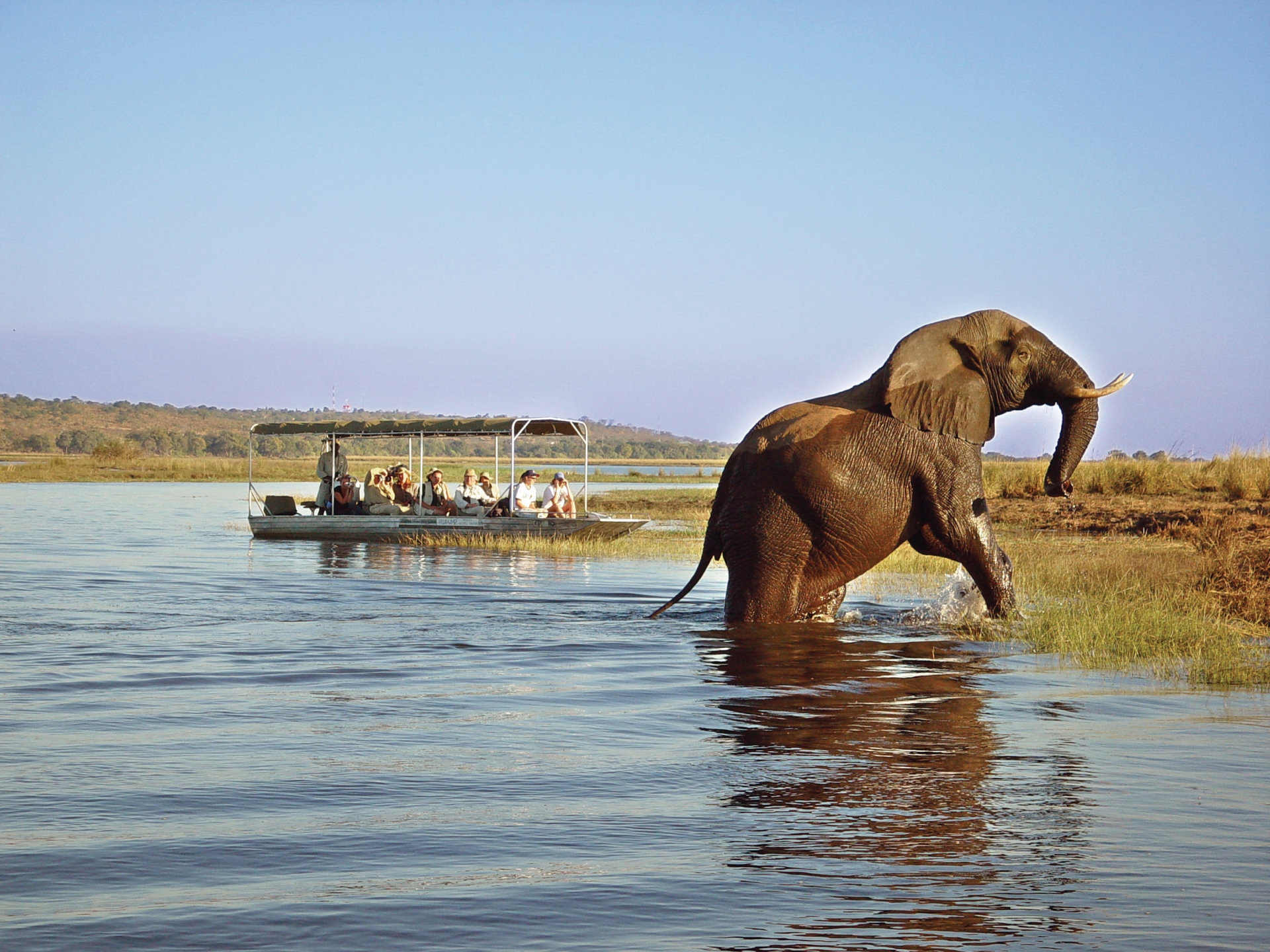 Boat trip on Zambezi - Highlights of Victoria Falls & Botswana