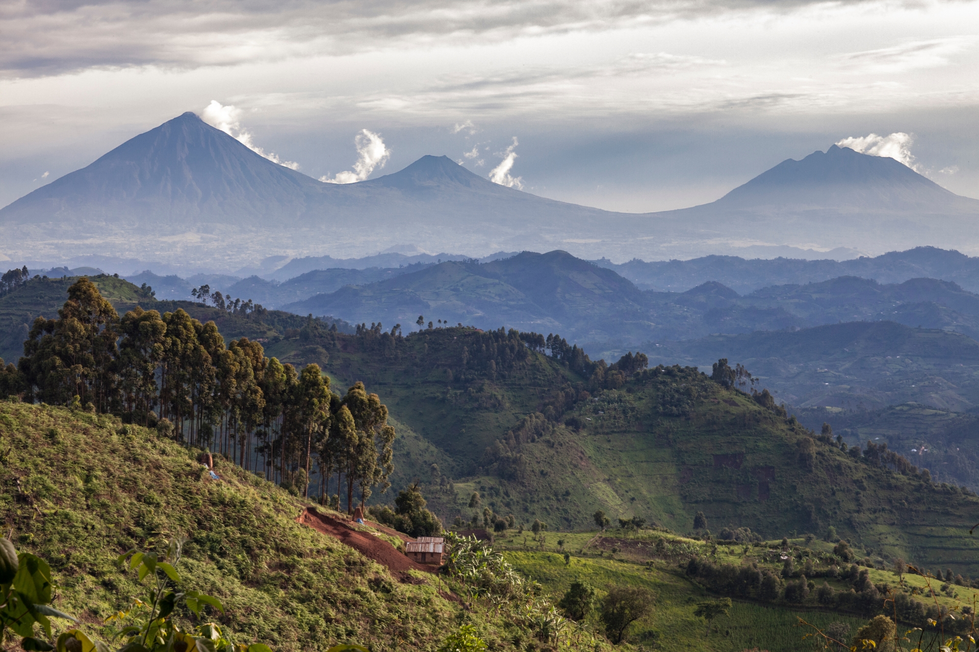 Volcanoes National park - Highlights of Rwanda