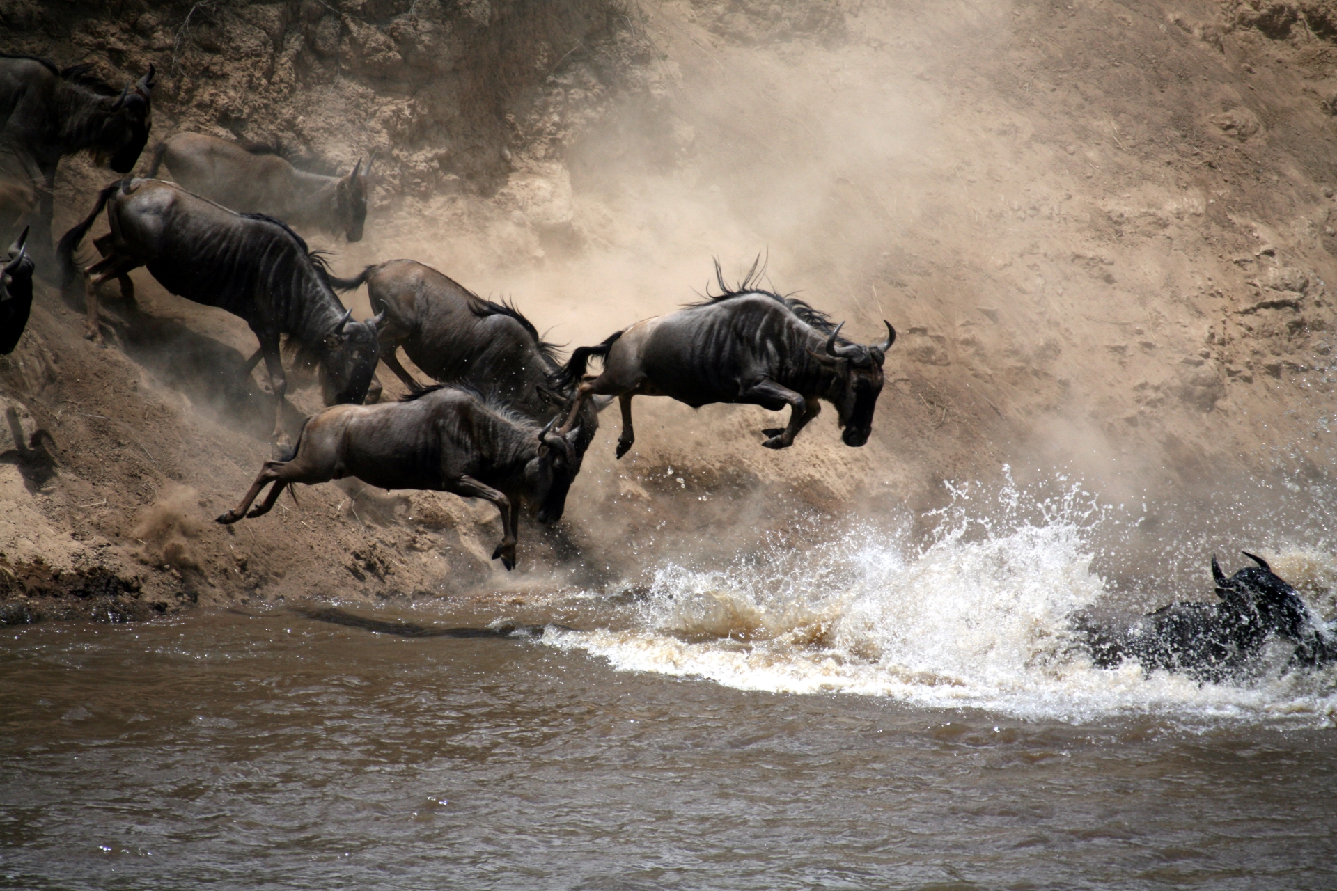 Serengeti - Rwanda and Tanzania in Ultimate Luxury