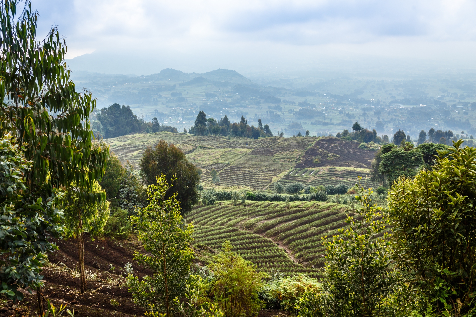 Rwanda - Rwanda and Tanzania in Ultimate Luxury
