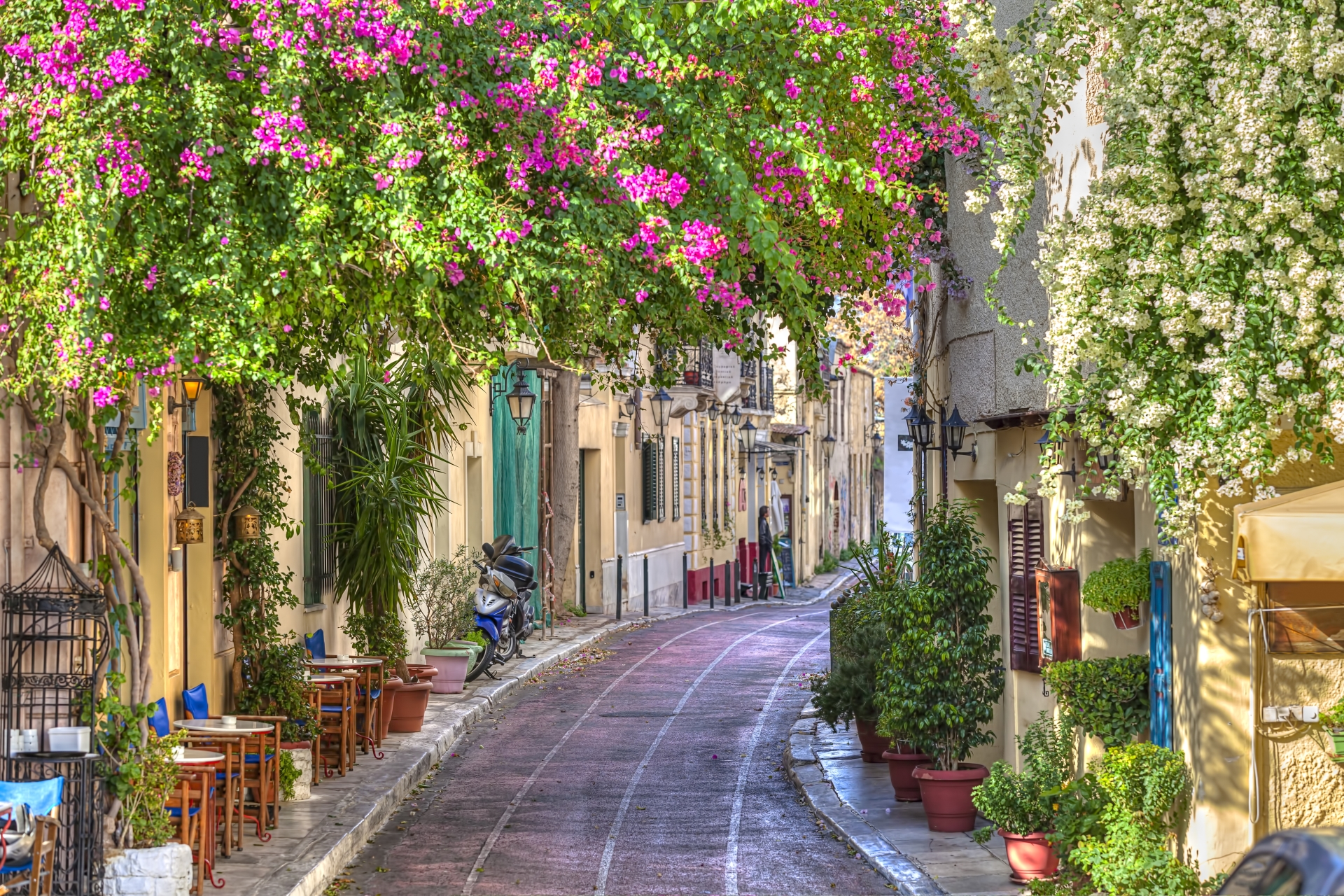 Plaka, Athens - Gourmet Greece