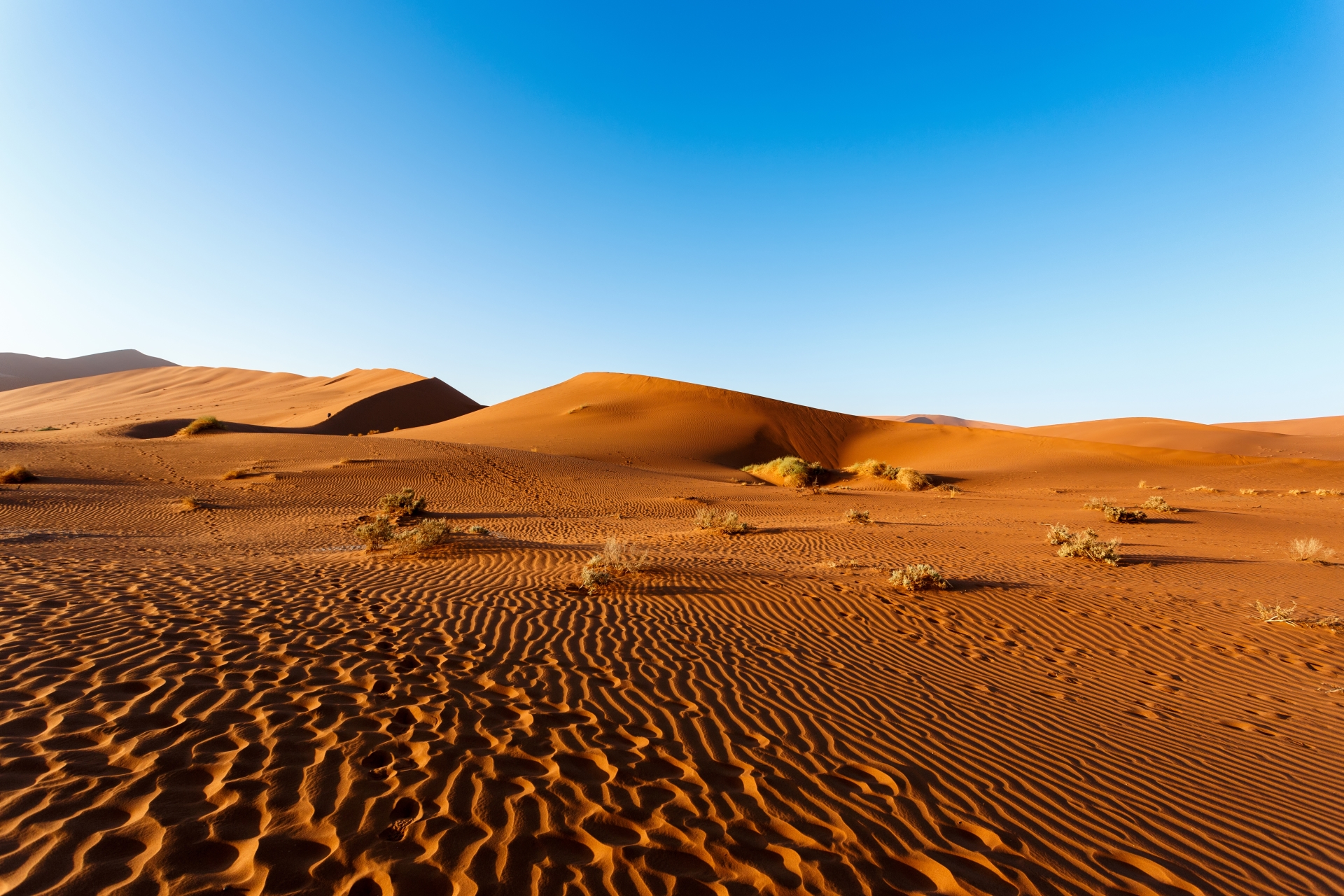 Namib Desert - Namibia for Teenagers