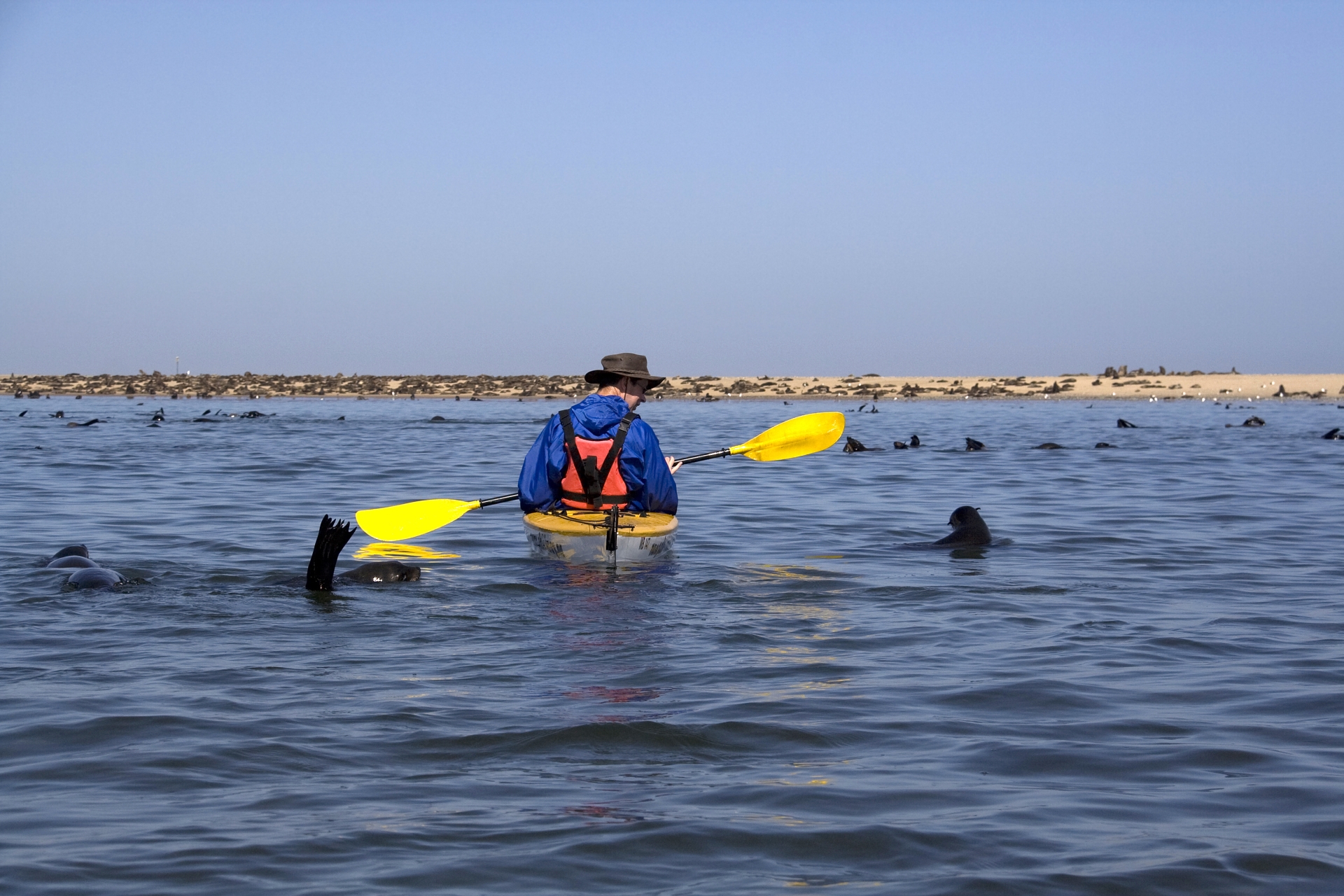 Kayaking with seals - Namibia for Teenagers