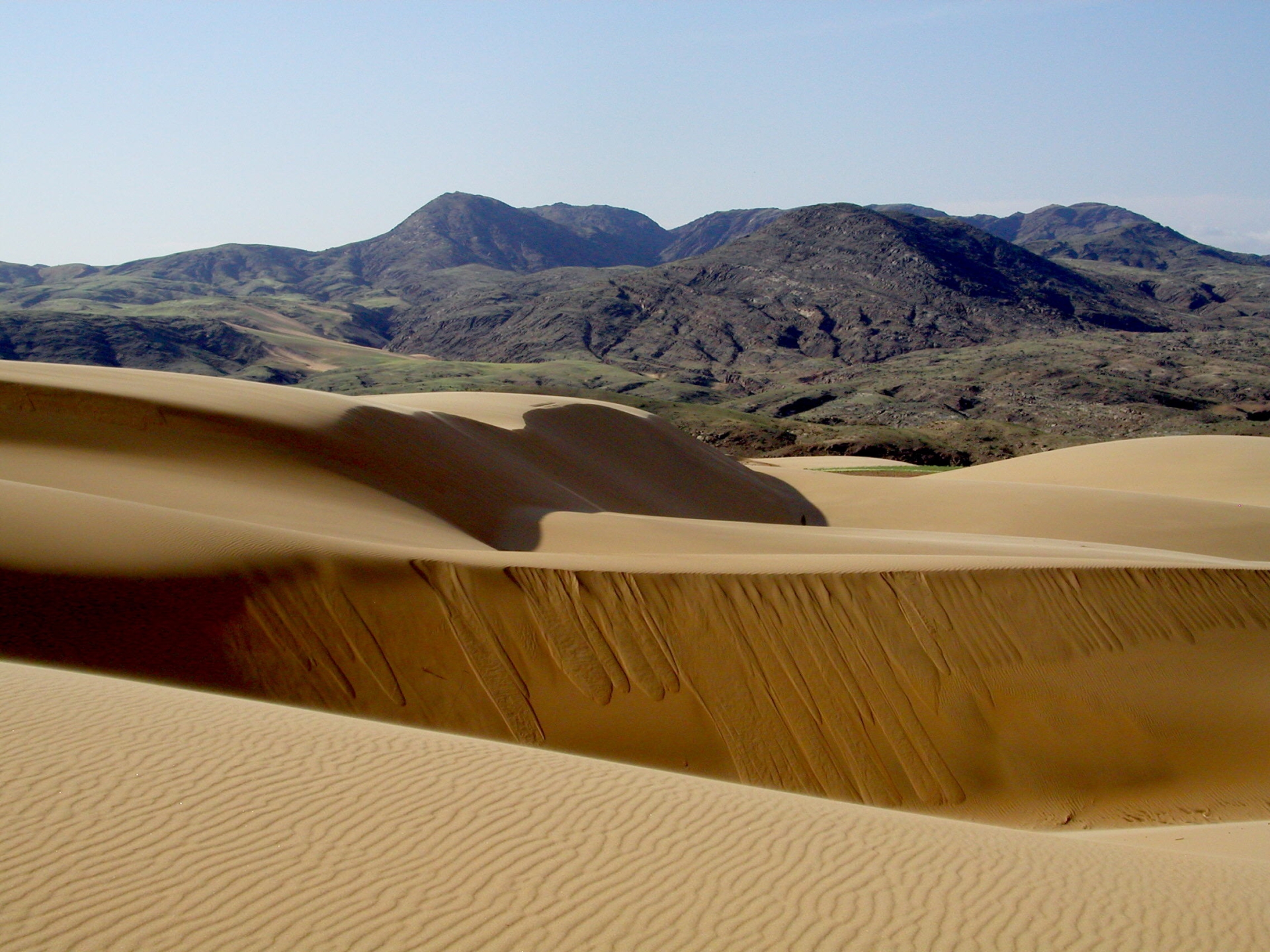 Rolling sand dunes - Kunene Camp