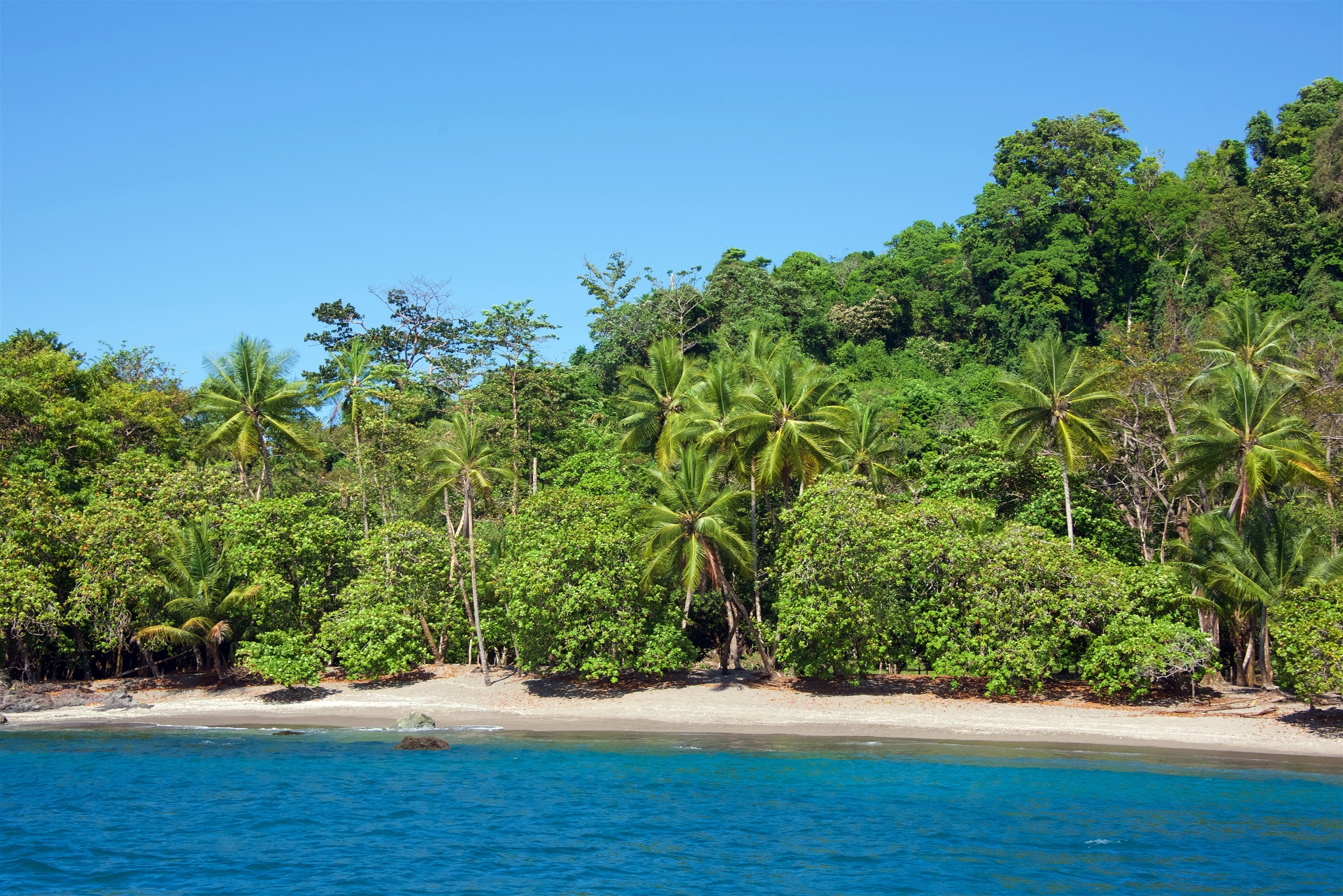 Beautiful Coastlines of the Osa Peninsula - Costa Rica for Teenagers