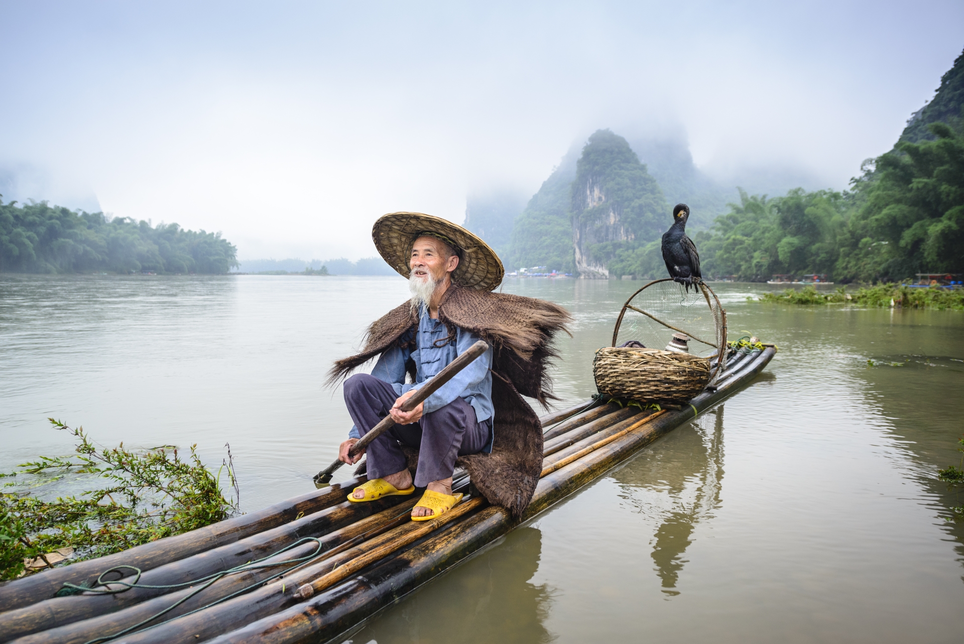 Cormorant Fishing in Guilin  - 