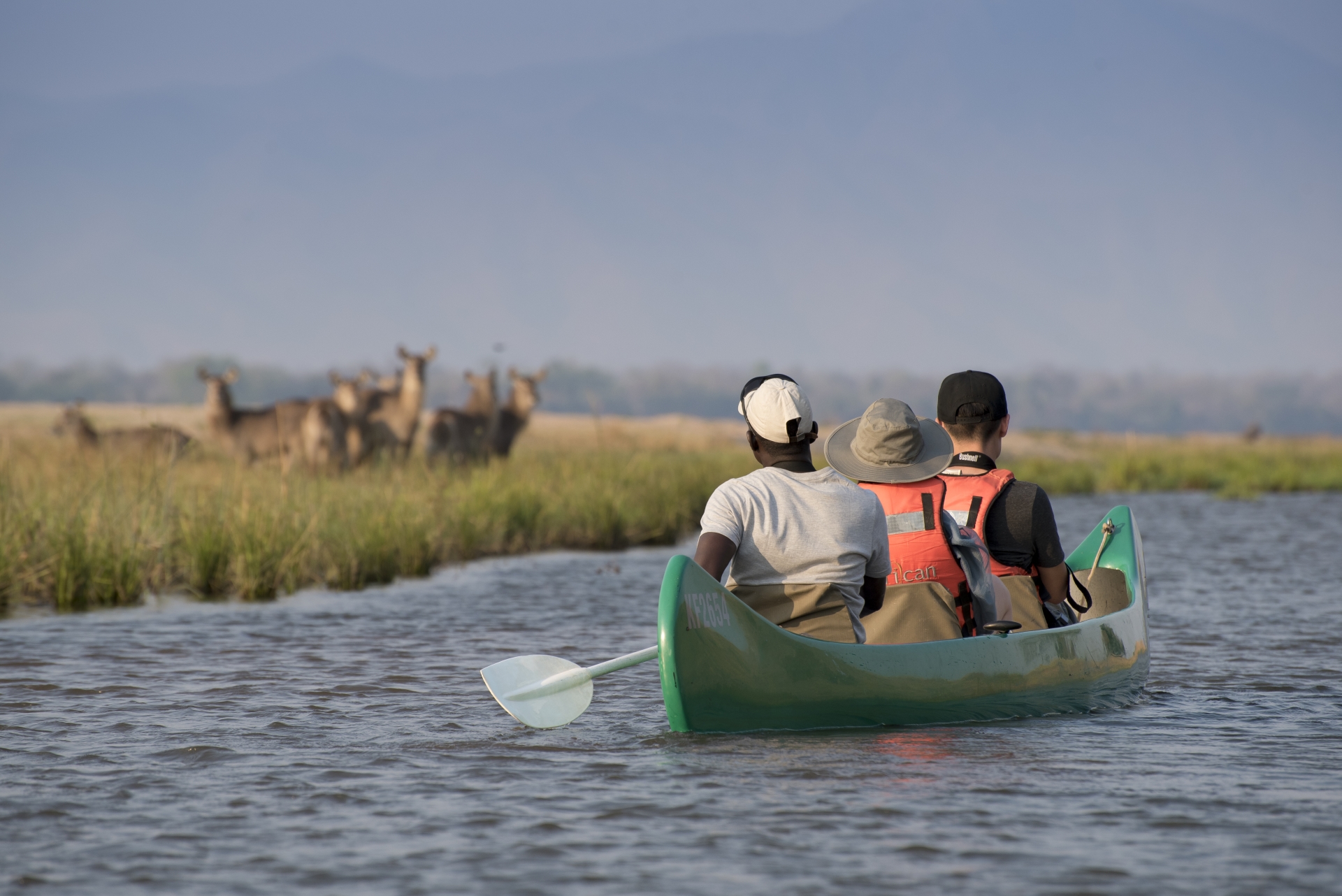 Zambezi canoeing - 
