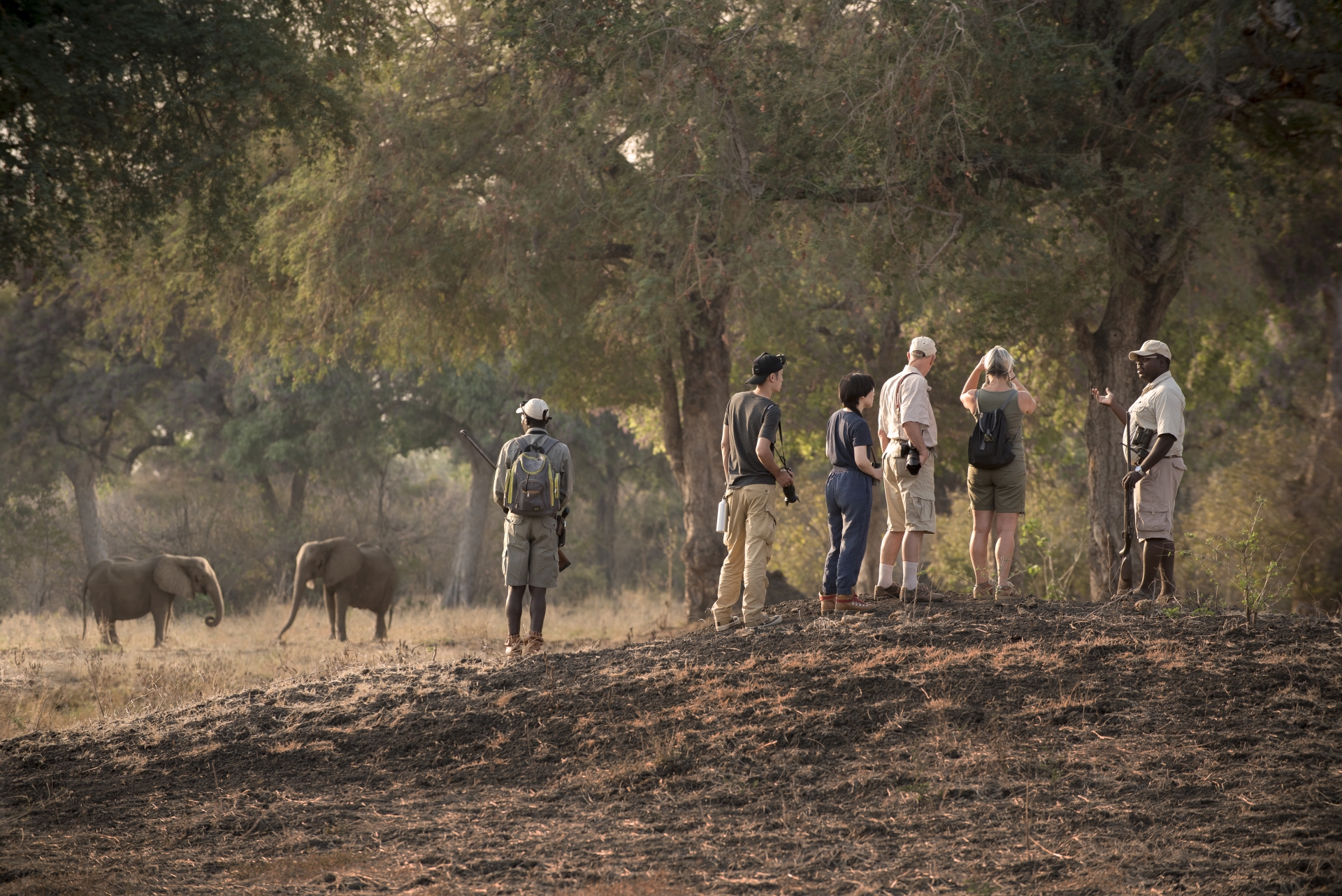 Walking Safari - 
