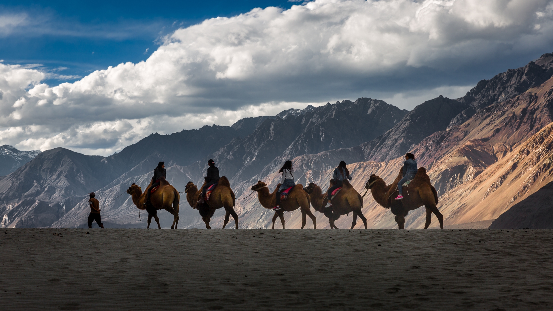 Camel Trek in Nubra Valley