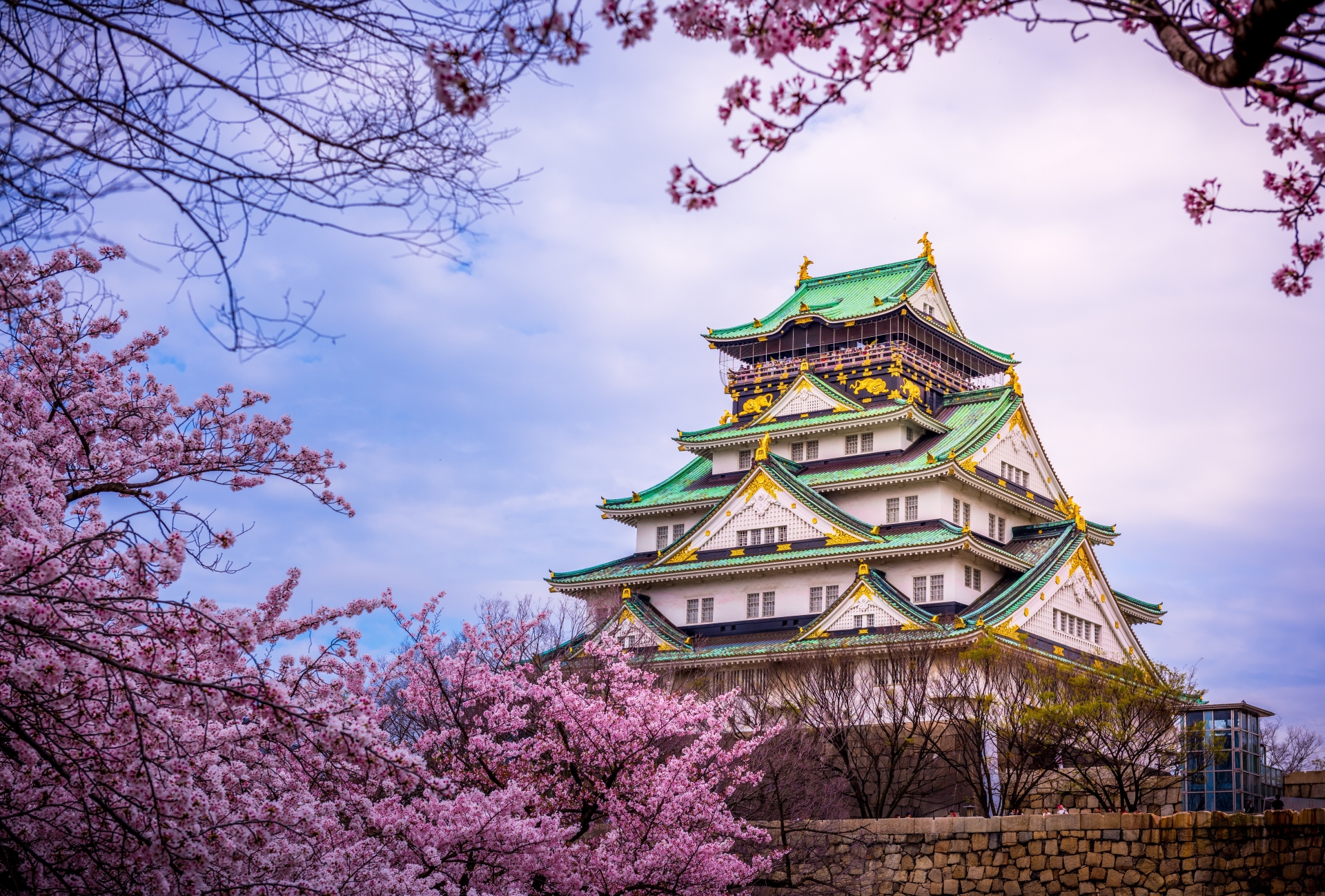 Osaka Castle in the Cherry Blossom Season