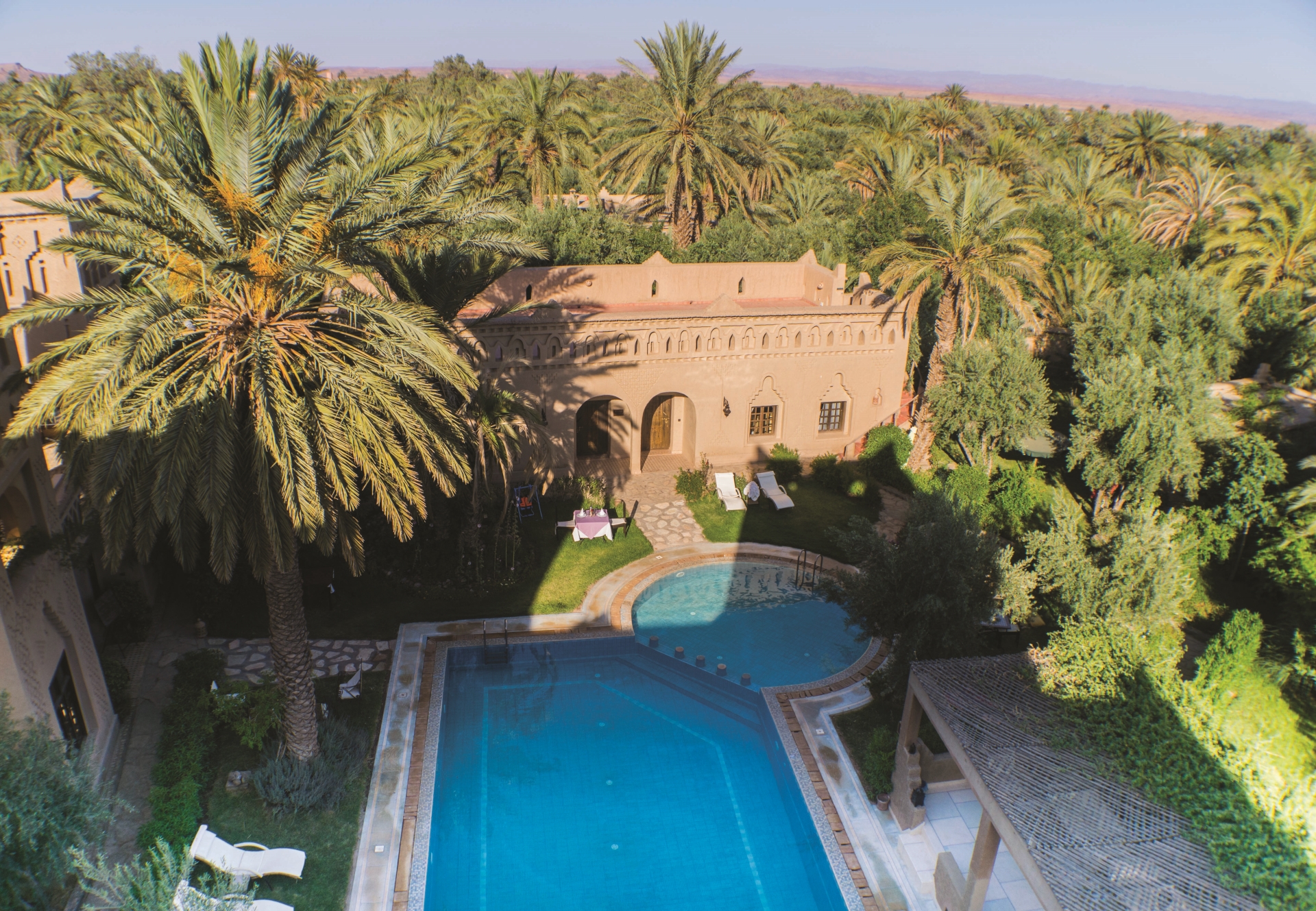 Swimming Pool and surrounding palm grove